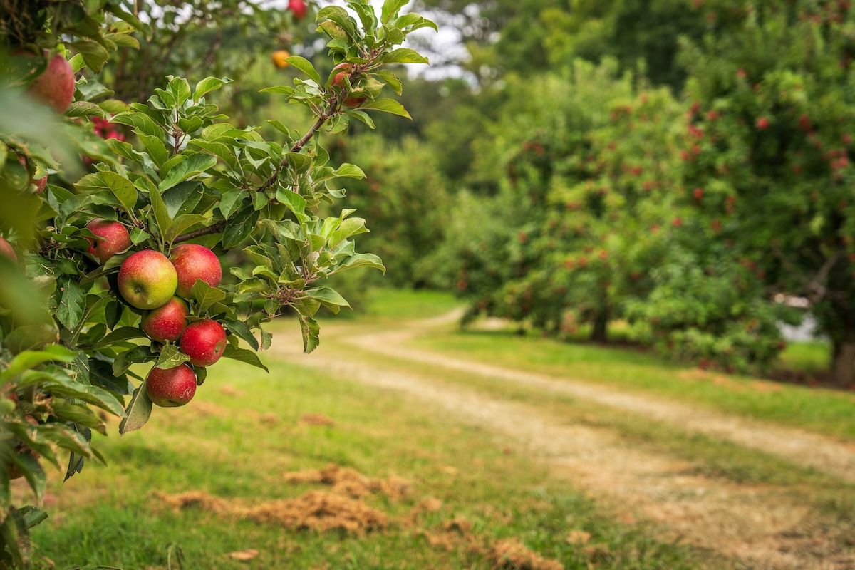 1200x800 Follow the Johnny Appleseed Trail: Massachusetts' Underrated RV Route. I Heart RVing
