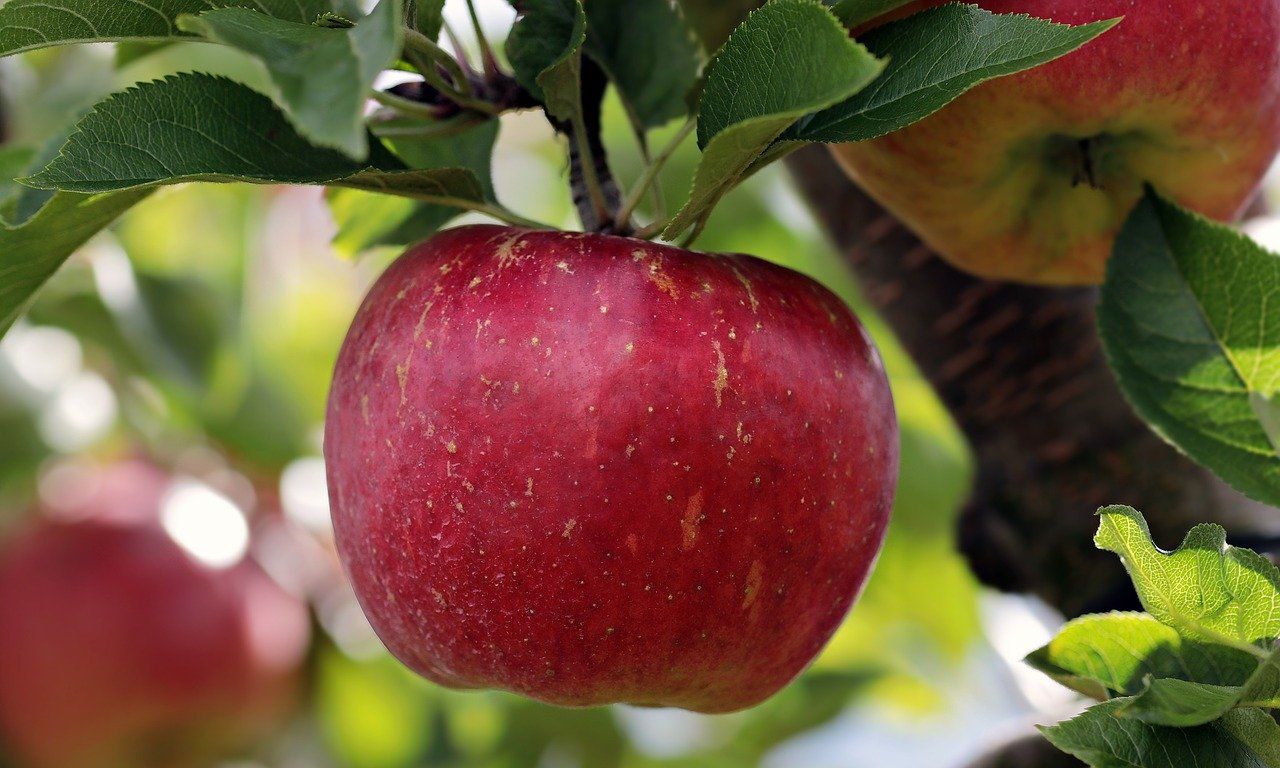 1280x768 Chasing Johnny Appleseed Leads To A Delaware County Barn