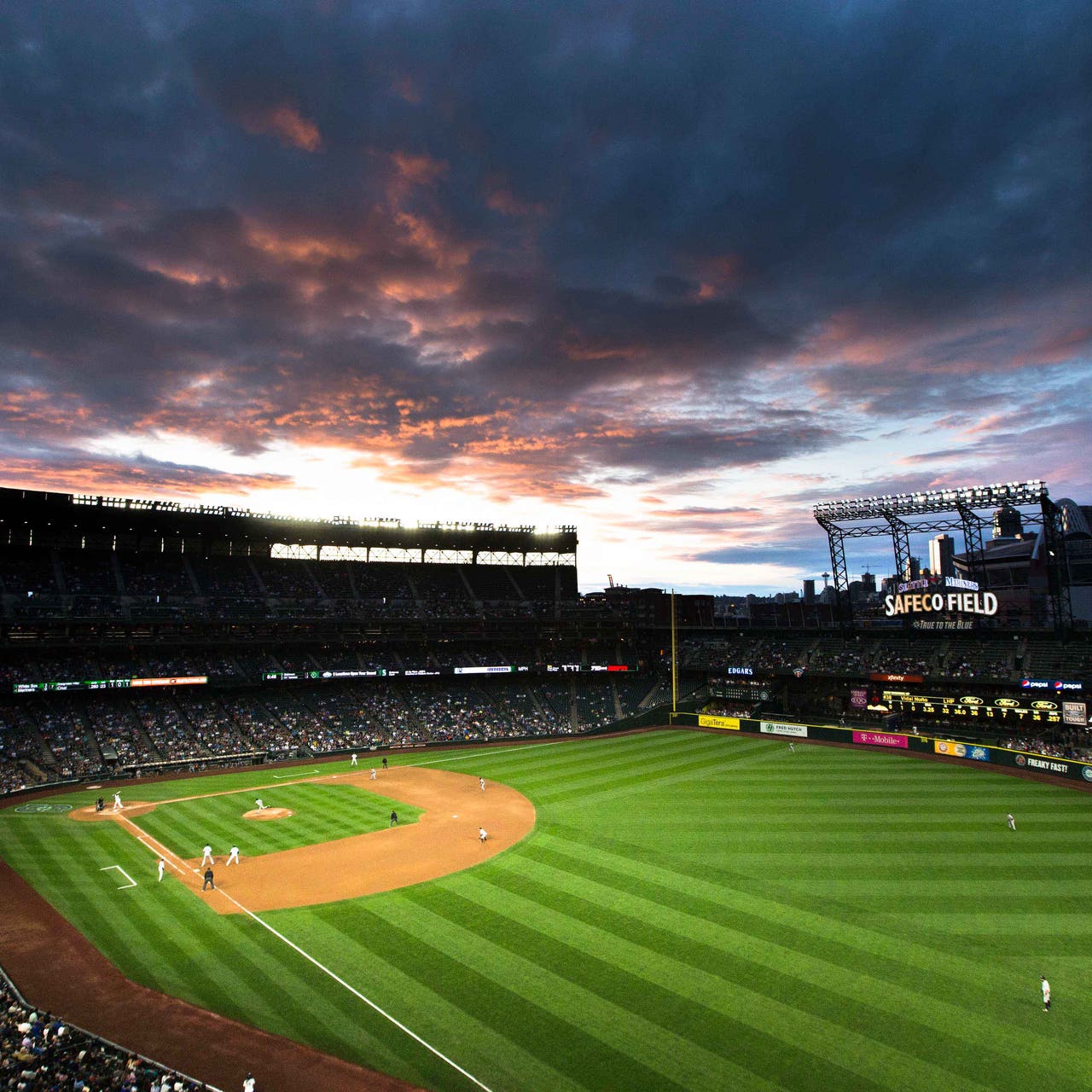 1280x1280 Seattle Mariners 40th Anniversary All Time Roster: The First Baseman