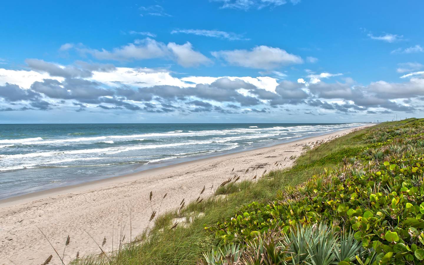 1440x900 Florida Vacation Destinations You'll Love