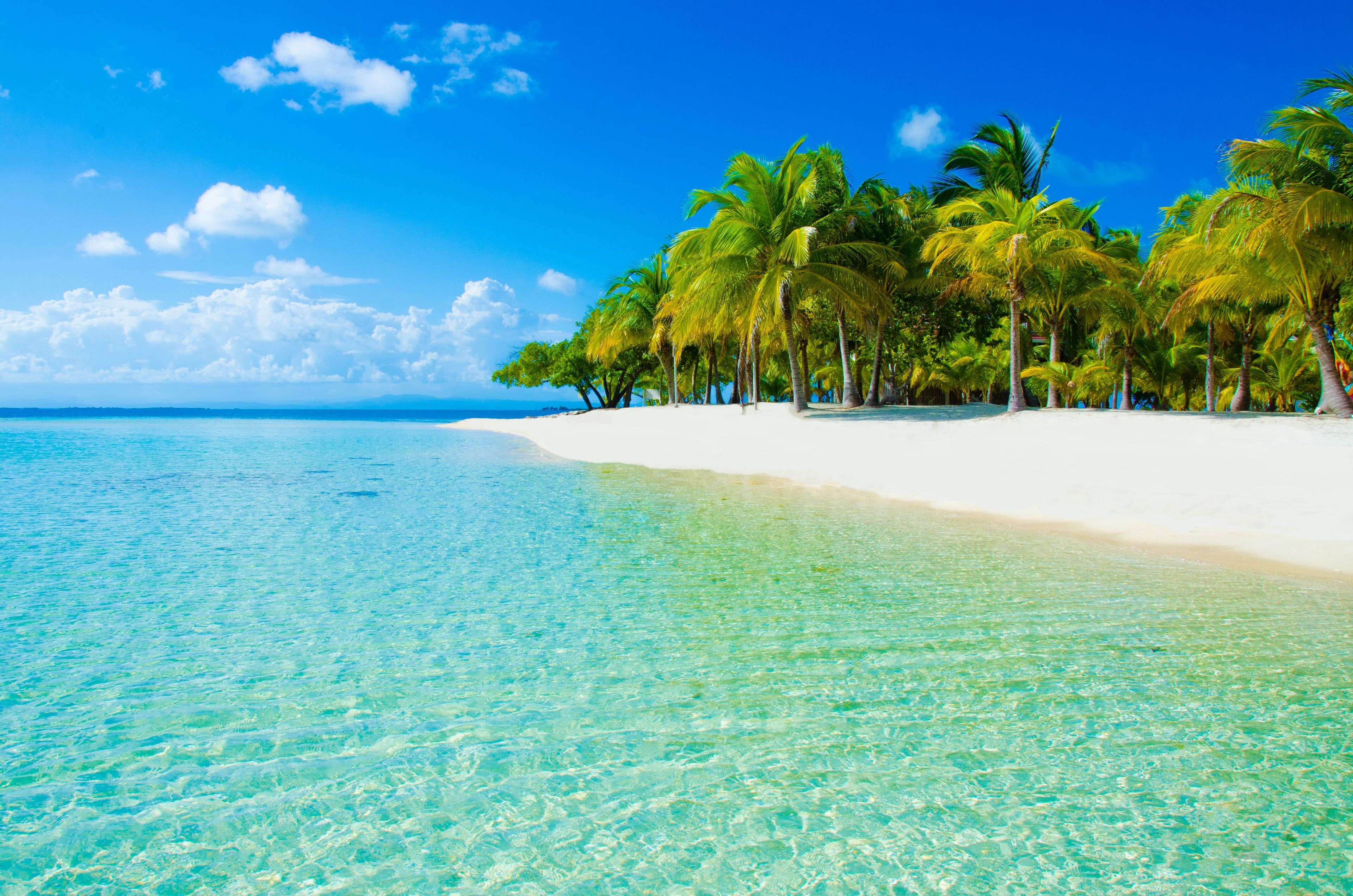 3840x2543 Book 6 night cruises from Port Canaveral, Florida to the Caribbean in January Online and Save