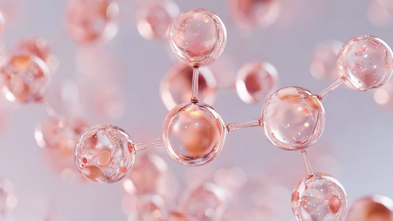 1308x736 Marine Collagen Amino Acid Profile: The Building Blocks Behind Healthy