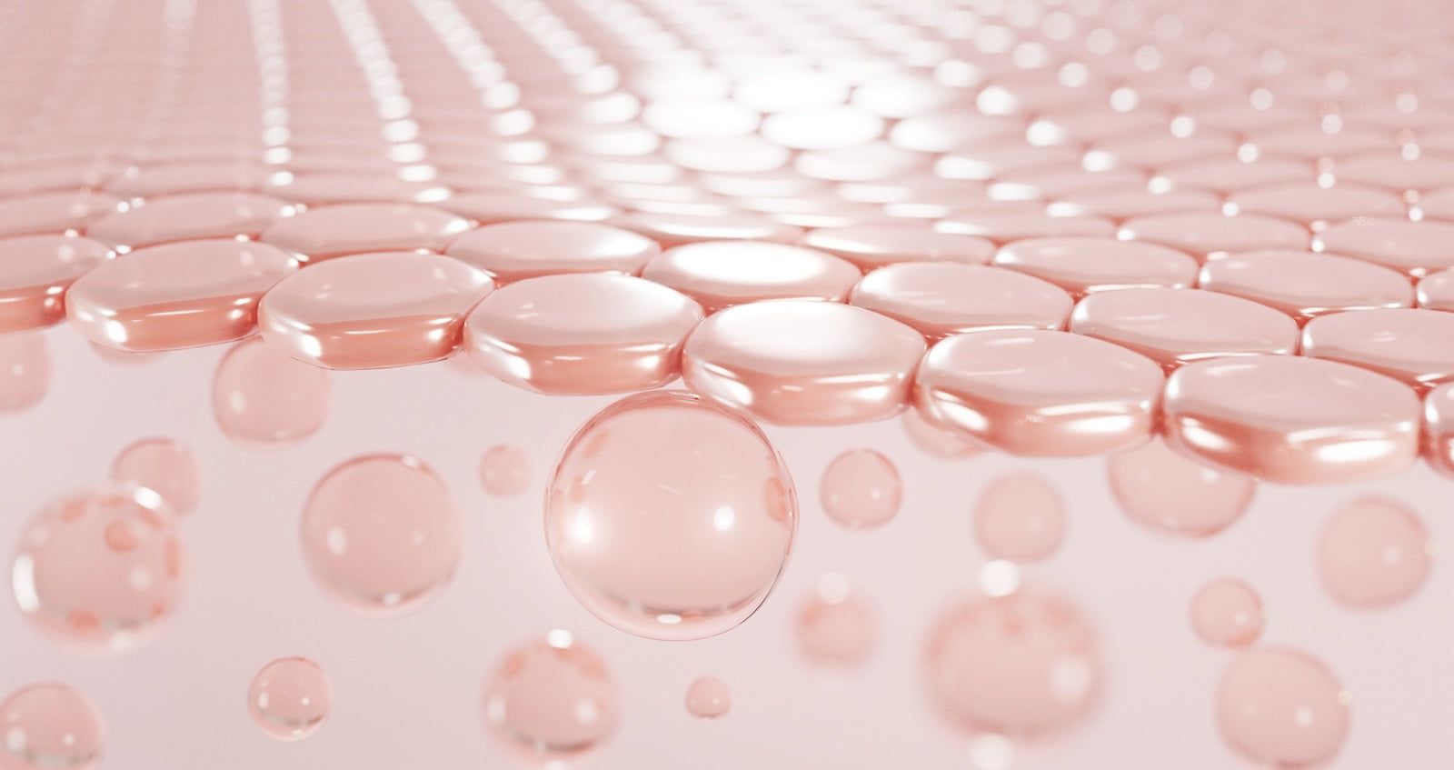 1600x847 Hydrolyzed marine collagen or native marine collagen? What are the differences?