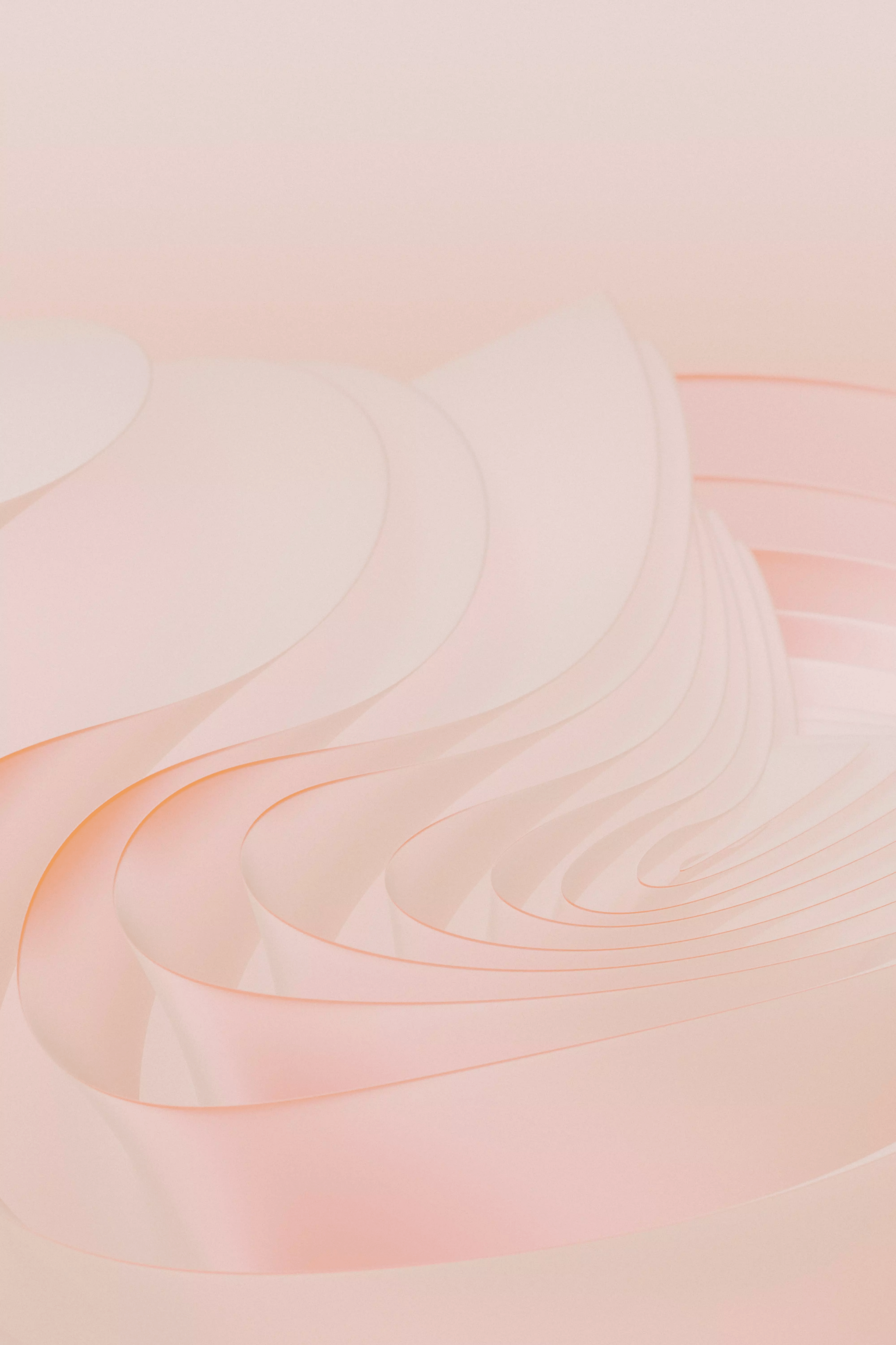 2731x4096 Collagen: Everything you need to know