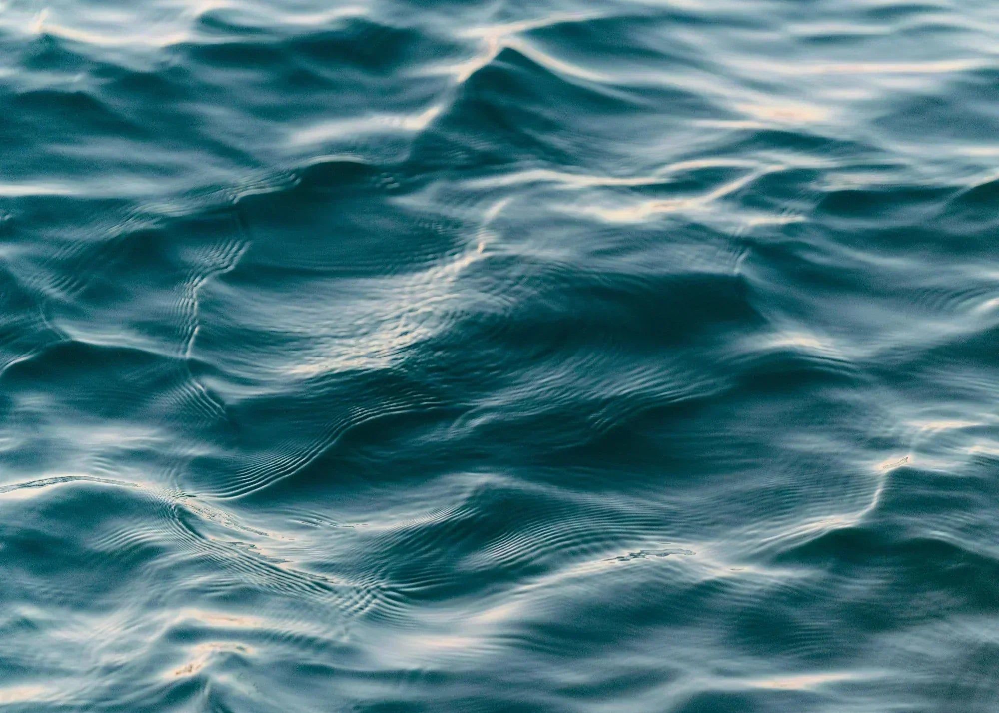 2000x1428 Marine Collagen Benefits: Complete Guide