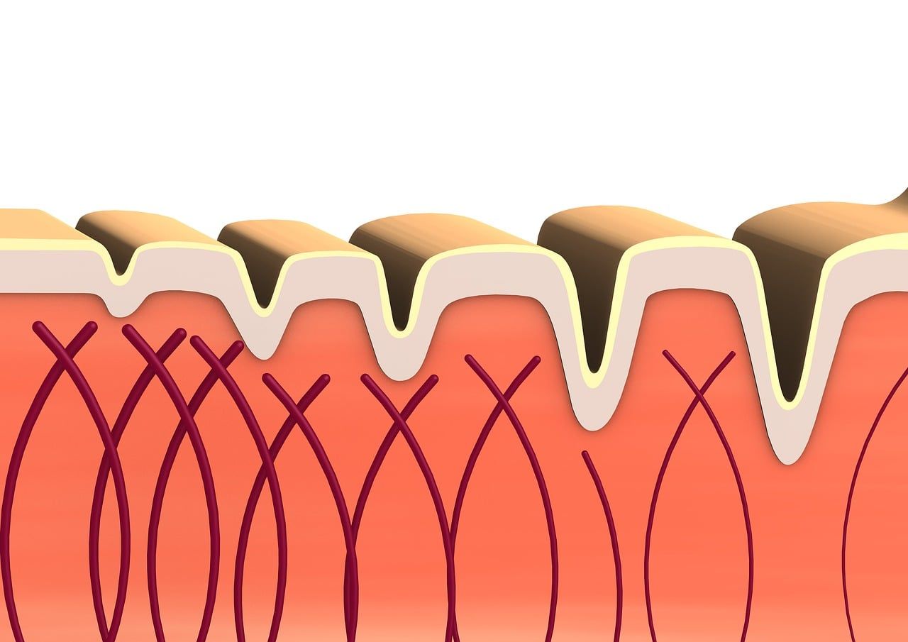 1280x905 Free Colagen & Collagen Image