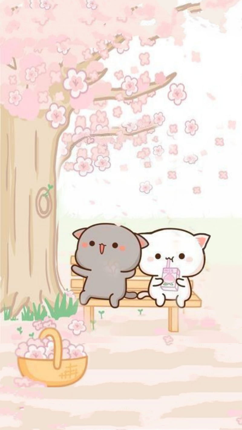 800x1422 Cute, cats, cats, cutecats, cute, goma, HD phone wallpaper