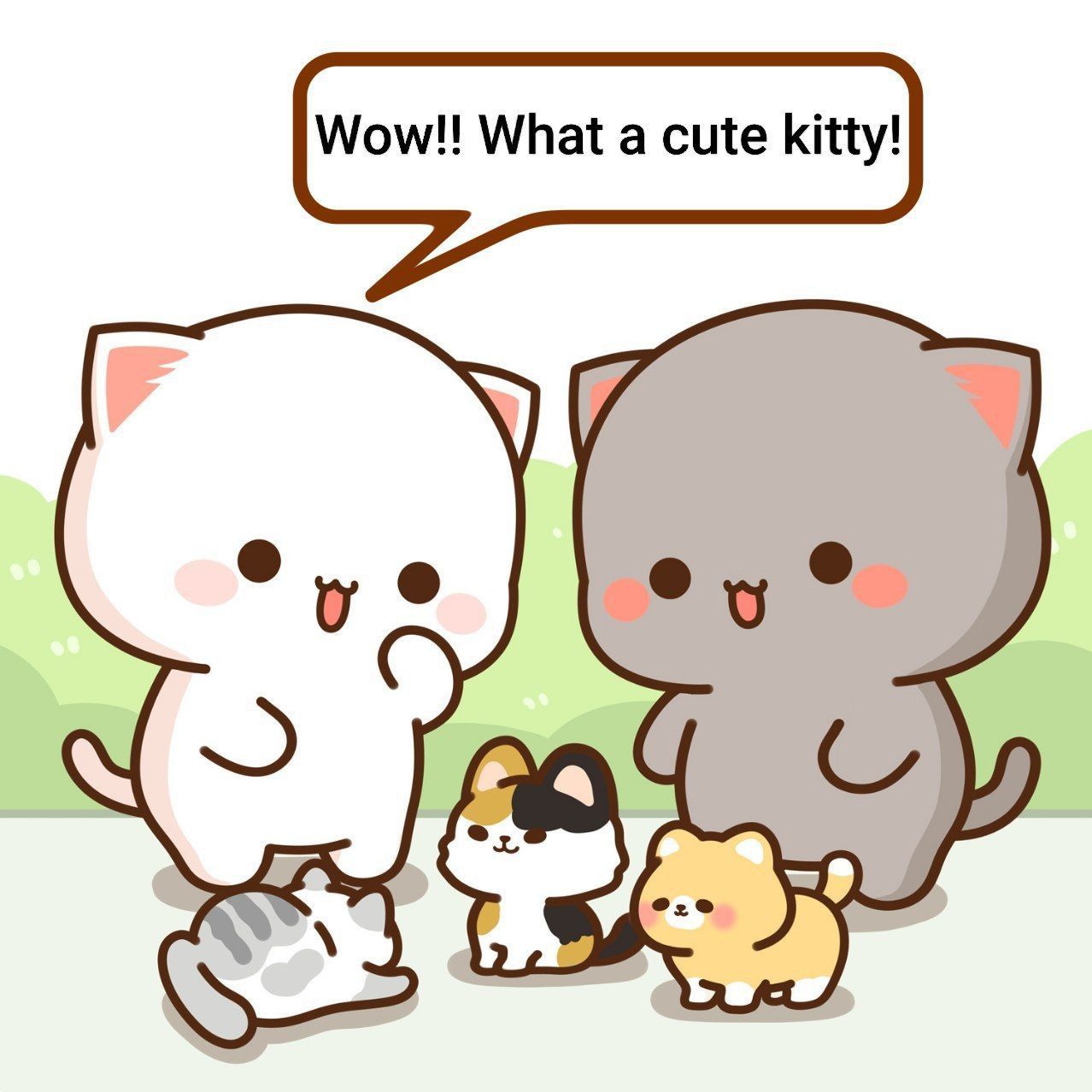 1278x1278 Peach and Goma Meet Some Cute Kittens and Goma