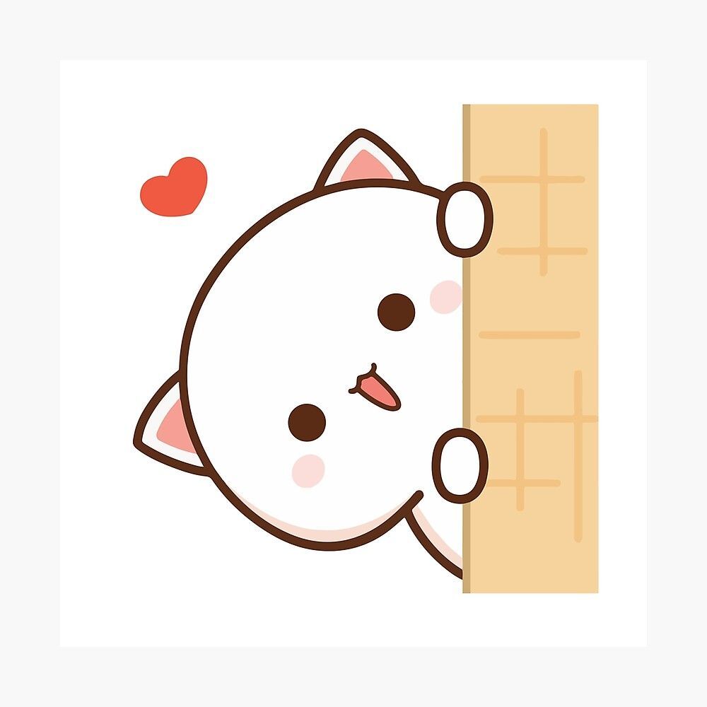 1000x1000 Mochi Cat Wallpaper