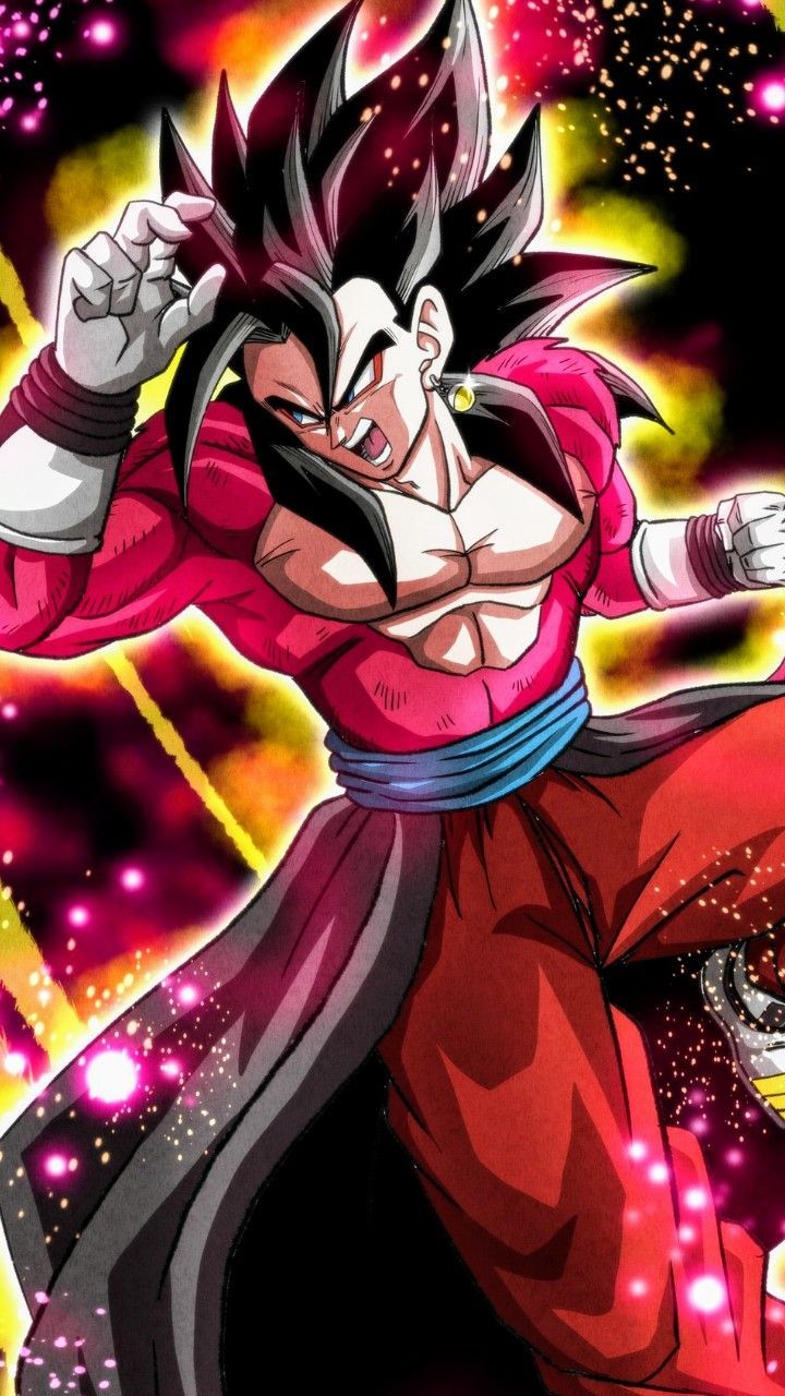 720x1280 Xeno Vegito ssj4