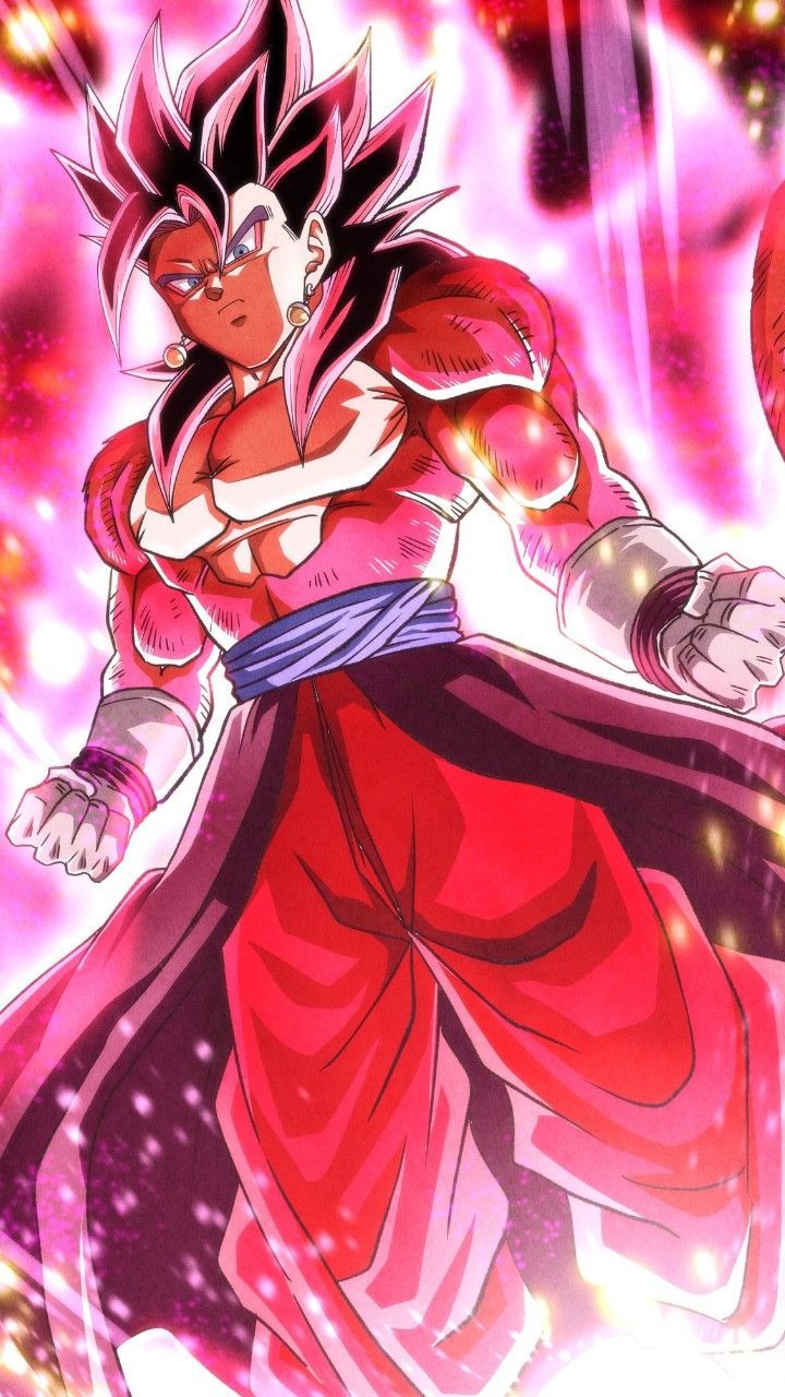 720x1280 Vegito ssj4 xeno