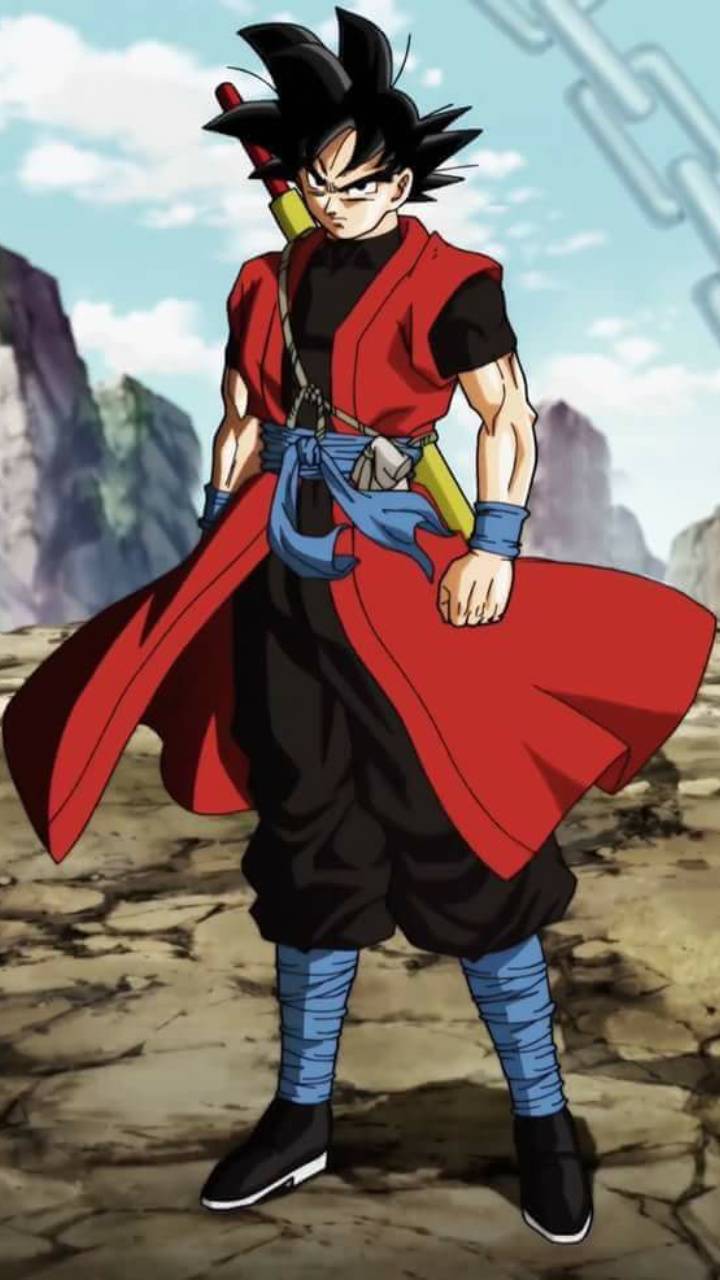 720x1280 Xeno Goku iPhone Wallpaper