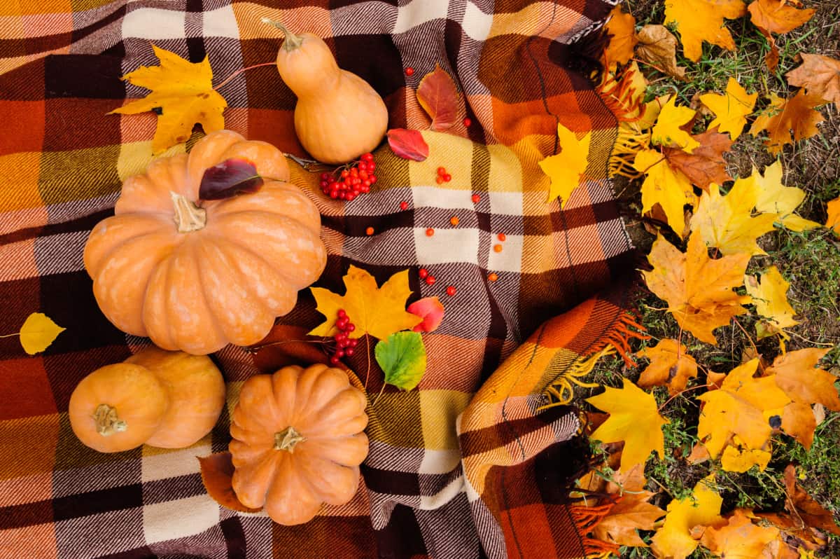 1200x798 Decorating With Plaid For Fall