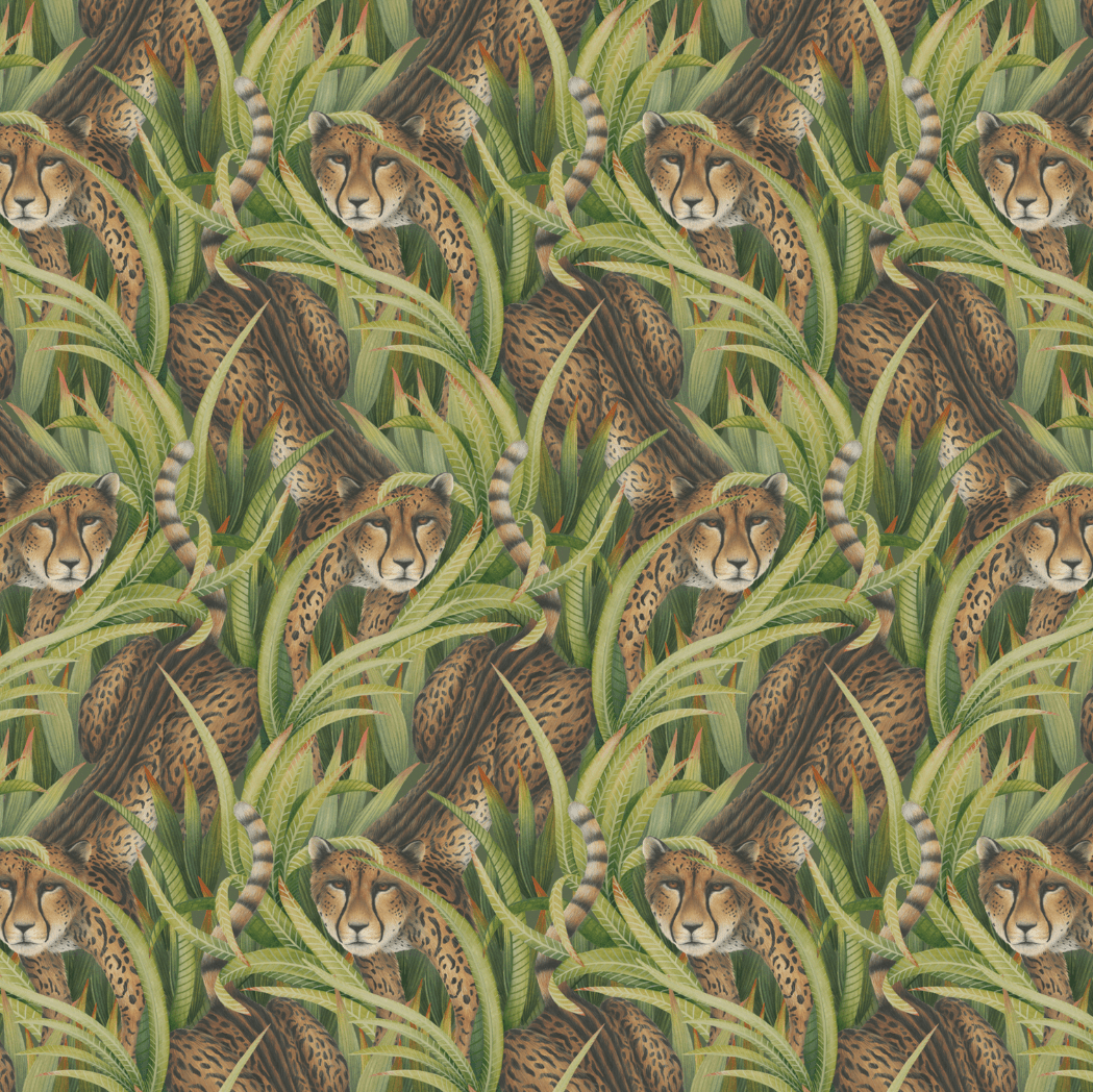 1049x1048 Cheetah Prowl wallpaper & Son Grass