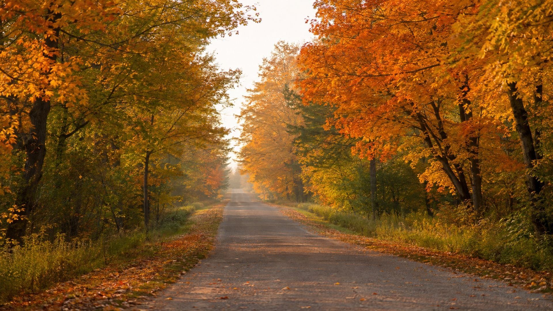 1920x1080 Free Aesthetic Fall Desktop Wallpaper