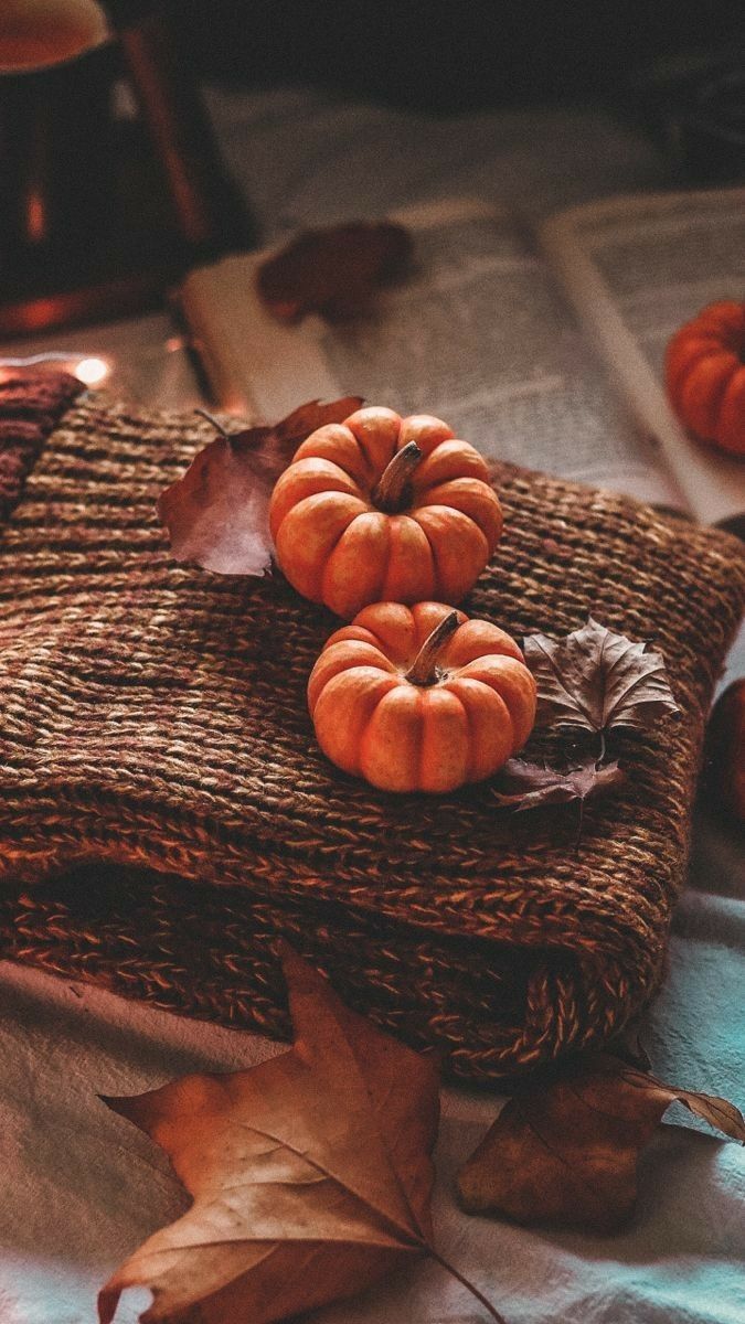 675x1200 Cozy Autumn Aesthetic ideas. autumn aesthetic, autumn cozy, fall feels