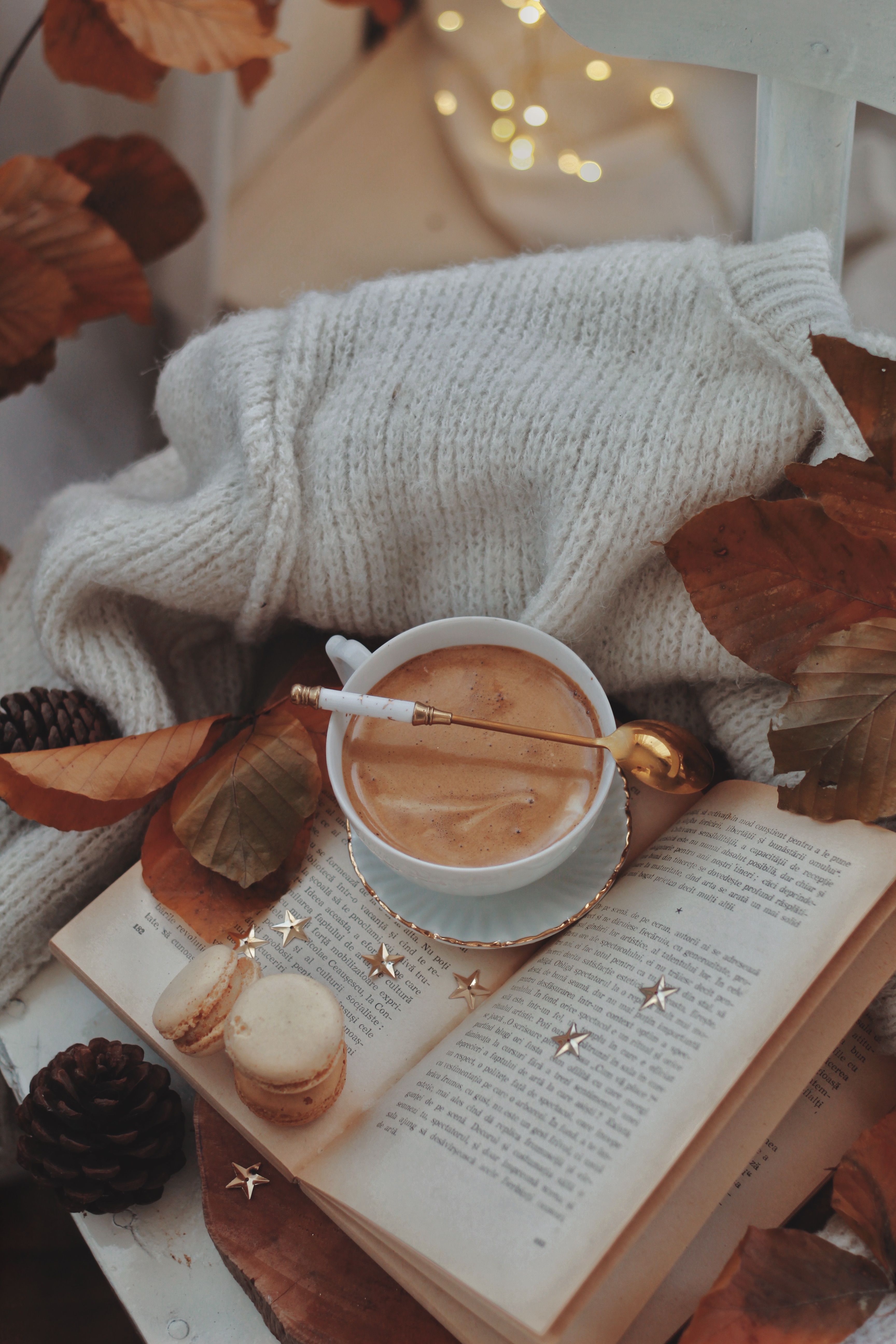 3456x5184 Cozy Autumn Setting with Coffee and Book · Free