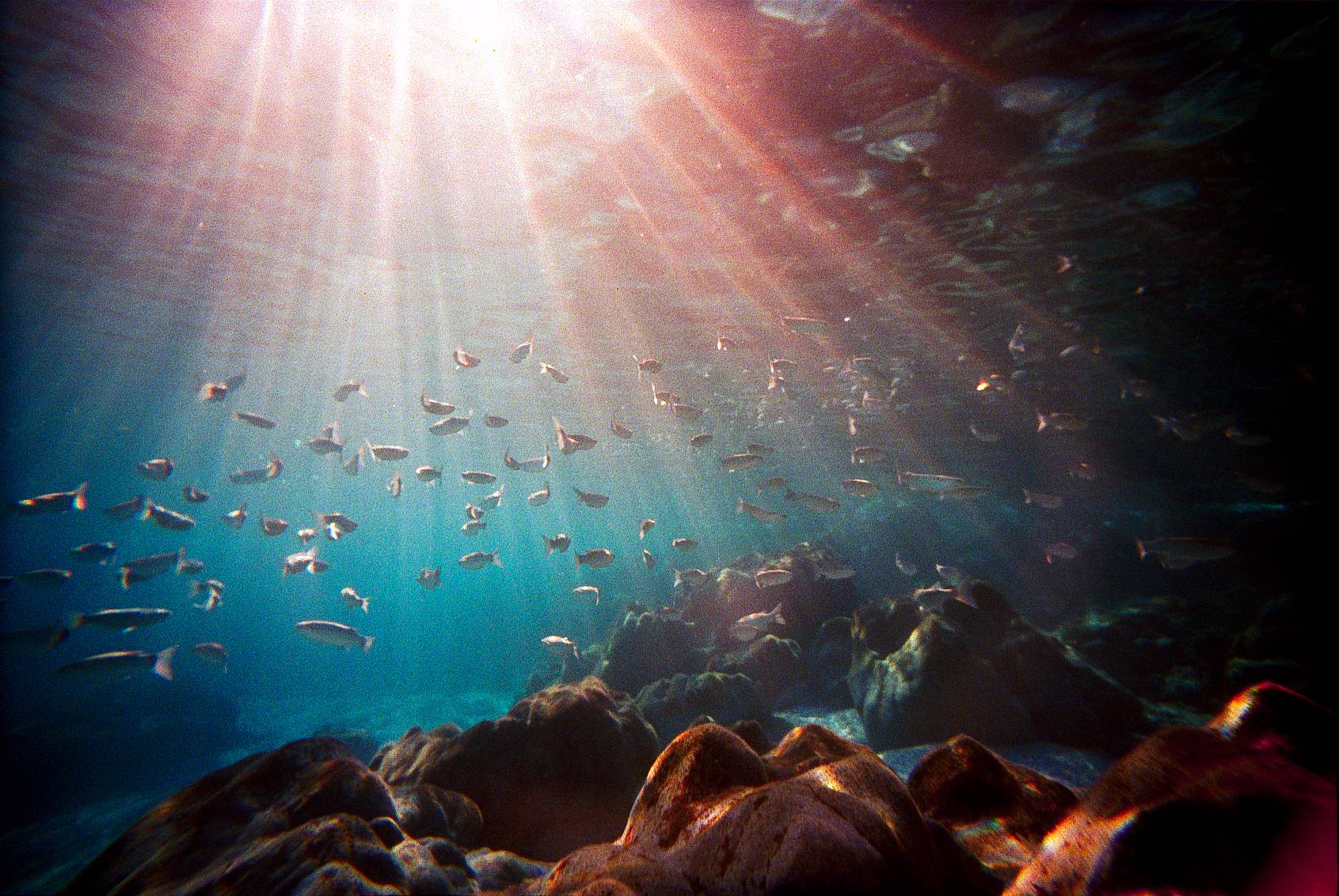 1691x1132 Poseidon's Territory: Image Below the Sea · Lomography