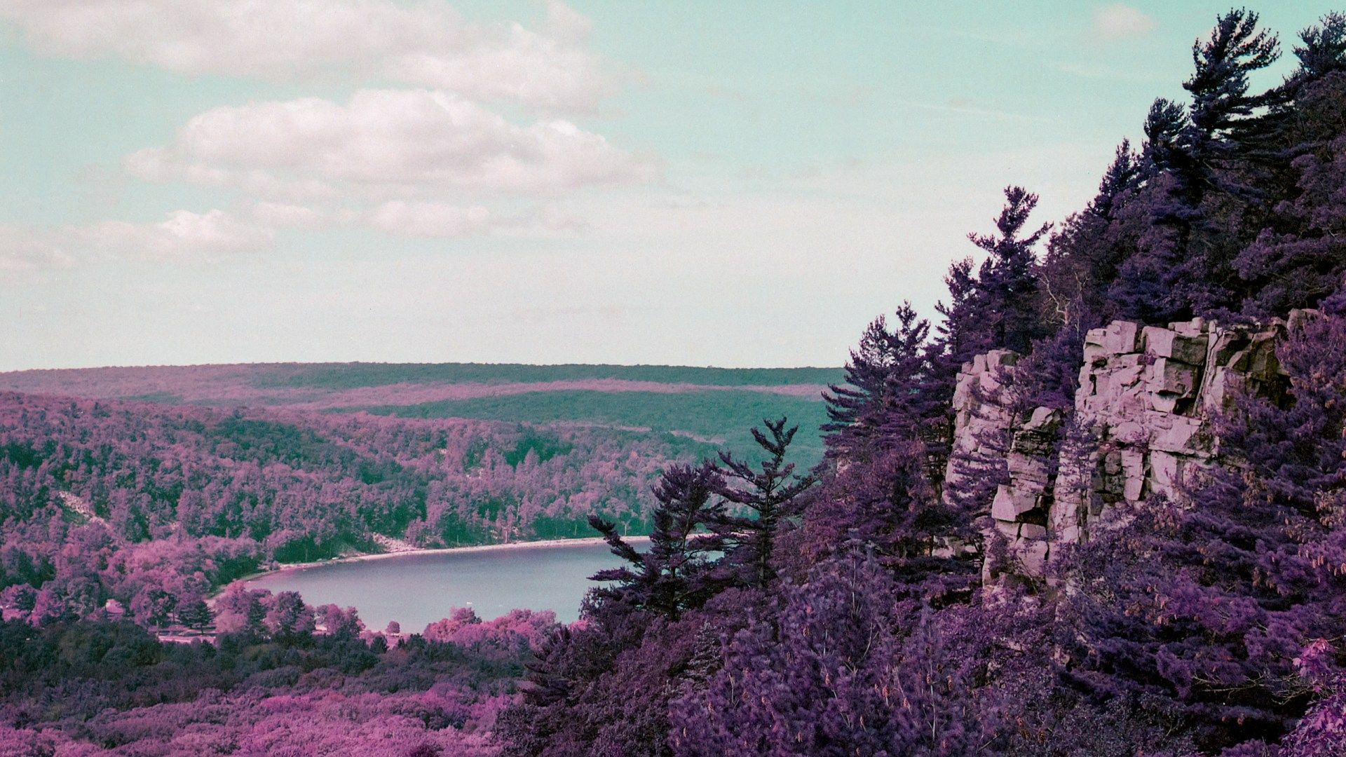1920x1080 Lomography Lomochrome Purple Review