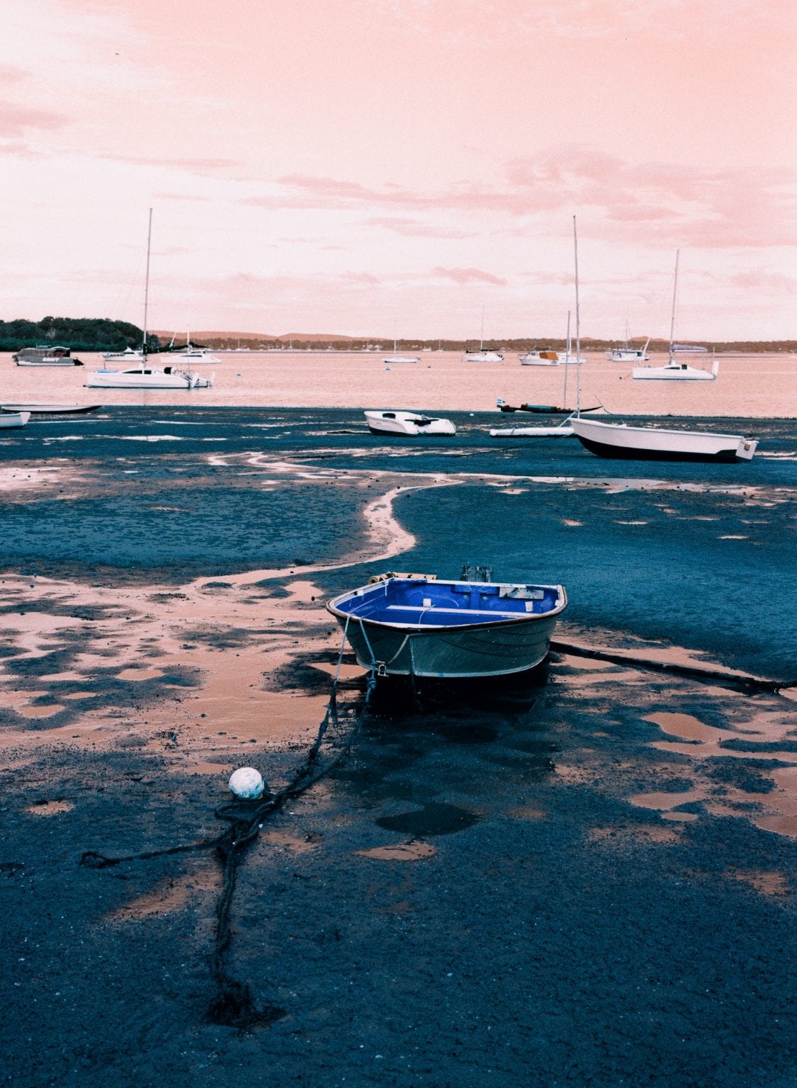 1125x1536 Lomography Turquoise 2022 Film Review Matt Murray