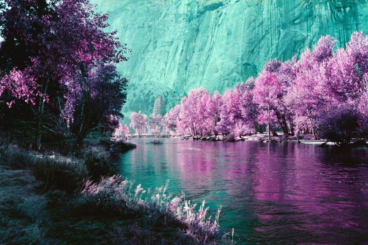 1200x800 Lomography Purple Roll Photo Lab