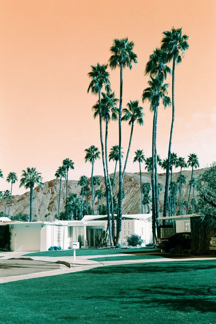 850x1277 LomoChrome Turquoise Review & How to Shoot This Experimental Film from Lomography Shoot It With Film