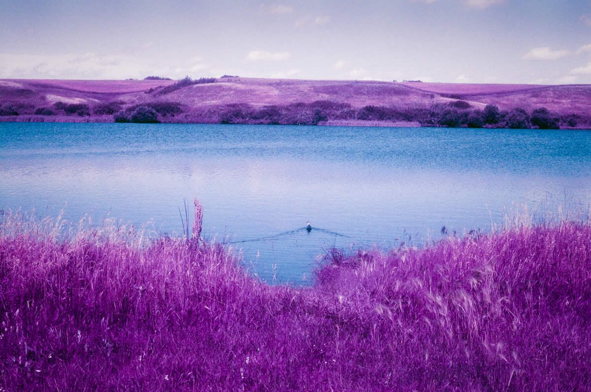 1200x796 Frames. With Lomography LomoChrome Purple XR 100 400 (EI 100 400 / 35mm Format / Nikon FE) Sherry Christensen