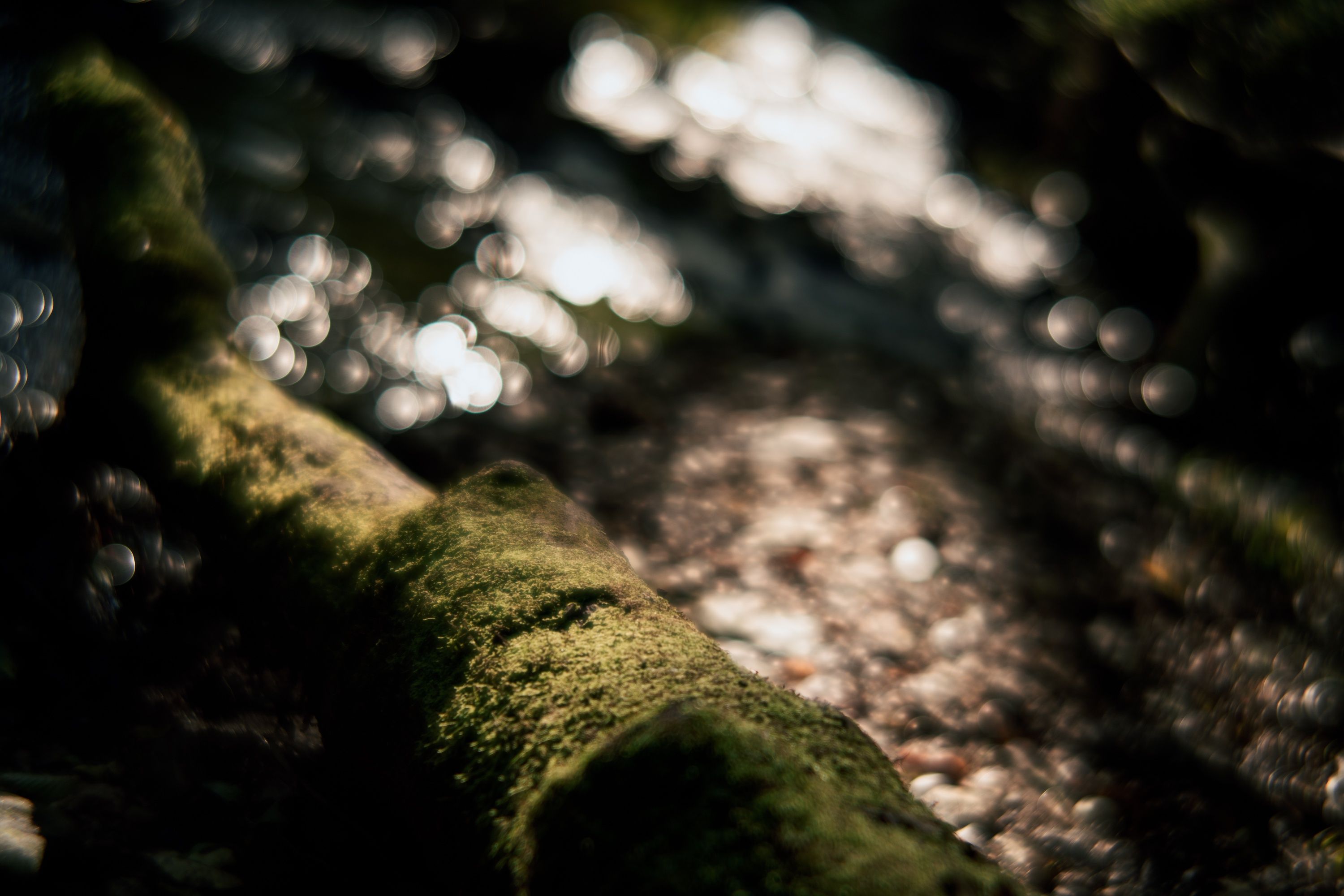 3000x2000 Hands On: Lomography's Throwback Nour Triplet V Bokeh Control Lens
