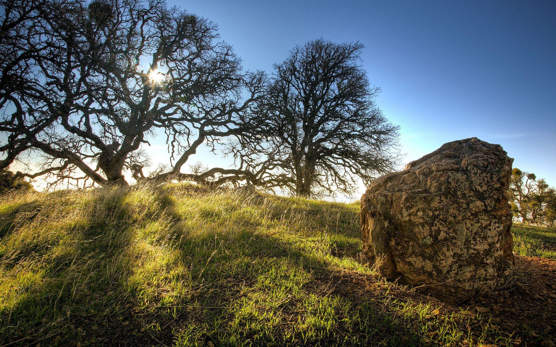 1920x1200 Free download Hill Tree Rock Occult Wicca Wiccan Celtic Pagan Sun Sky Wallpaper [1920x1200] for your Desktop, Mobile & Tablet. Explore Celtic Pagan Wallpaper. Celtic Pagan Wallpaper, Pagan Background, Pagan Wallpaper
