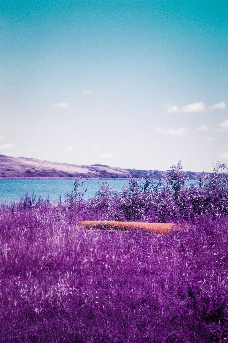 796x1200 Frames. With Lomography LomoChrome Purple XR 100 400 (EI 100 400 / 35mm Format / Nikon FE) Sherry Christensen