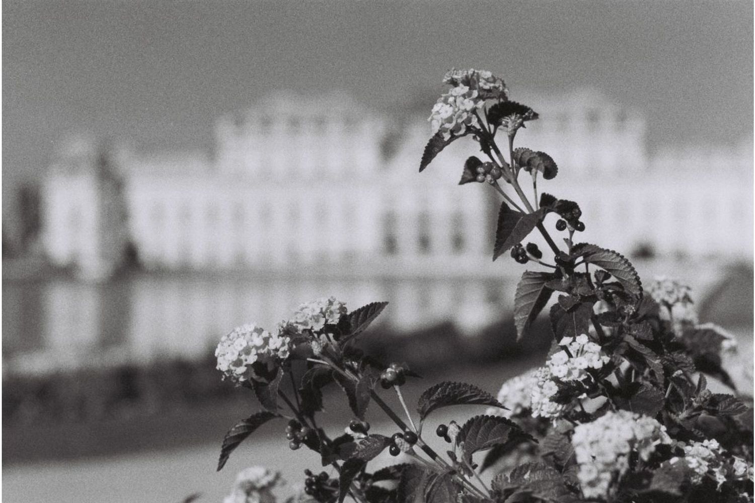 1500x1000 Lomography Berlin Cinema B&W ISO 400