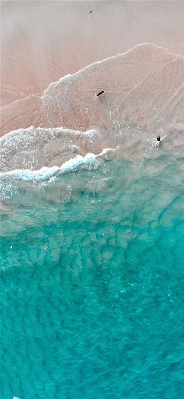 640x1385 Best Dji mavic air iPhone X HD Wallpaper