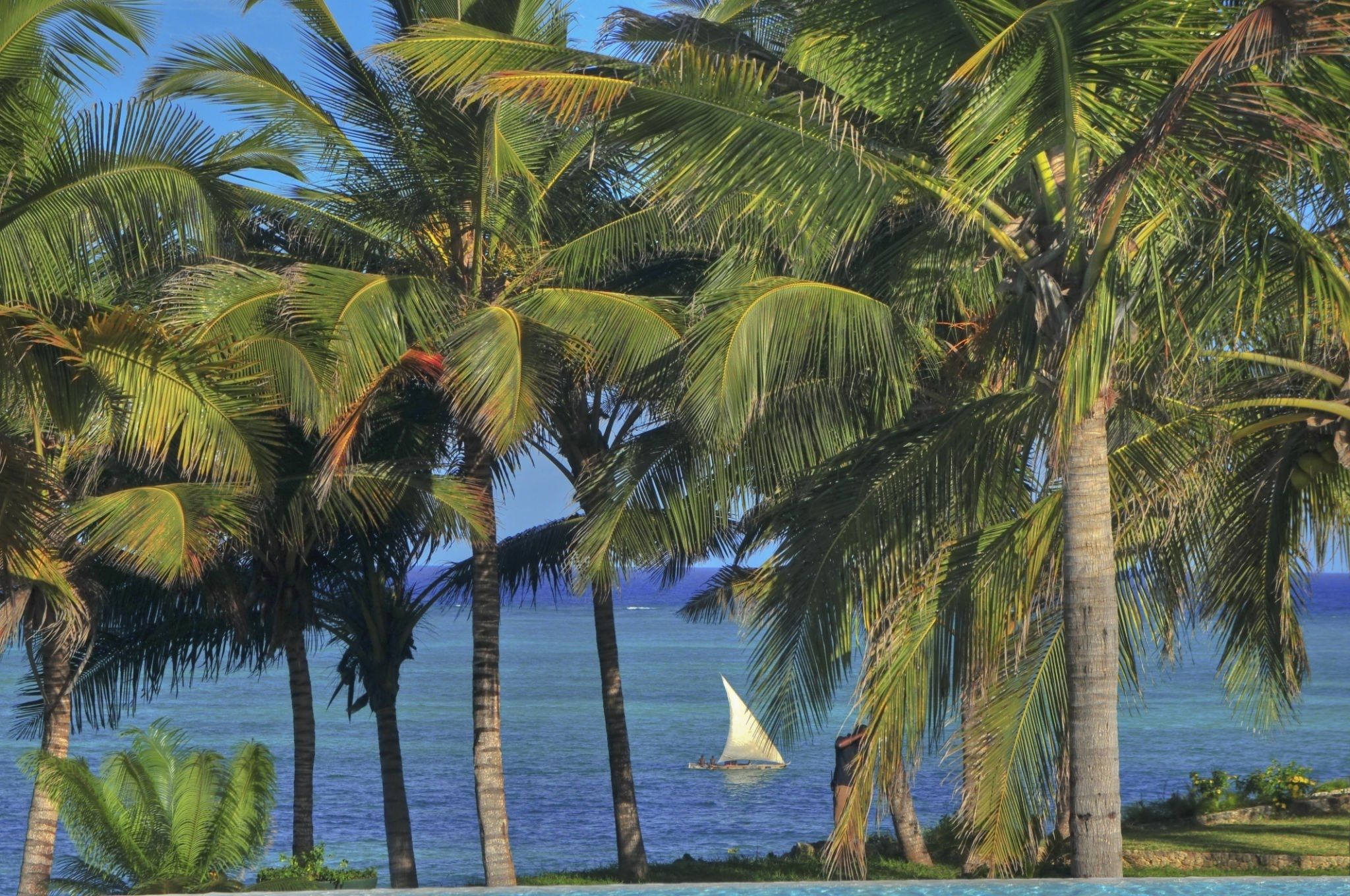 2048x1360 Beach Pangani Africa Guide