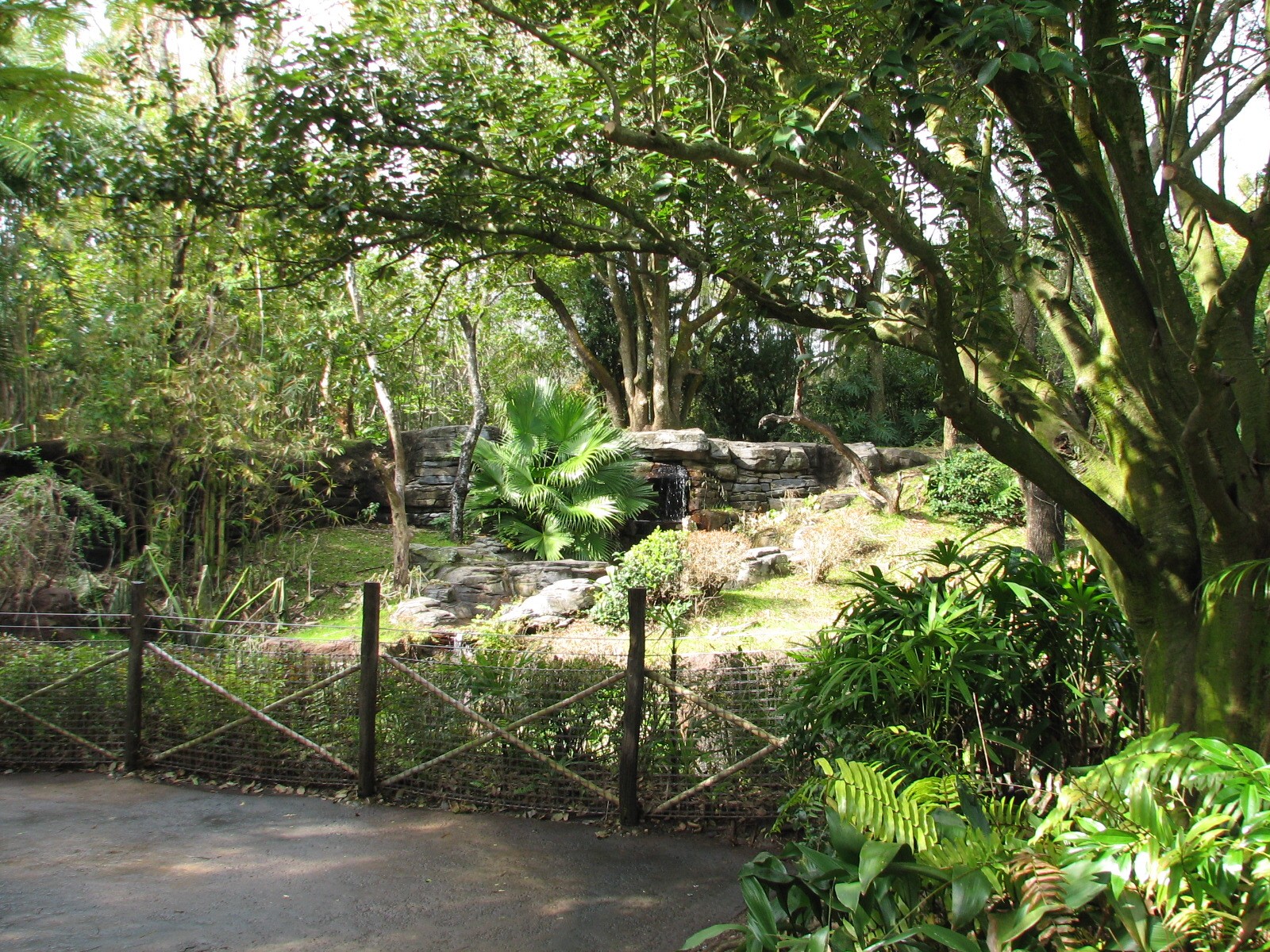 1600x1200 Pangani Forest Exploration Trail Gorilla Exhibit