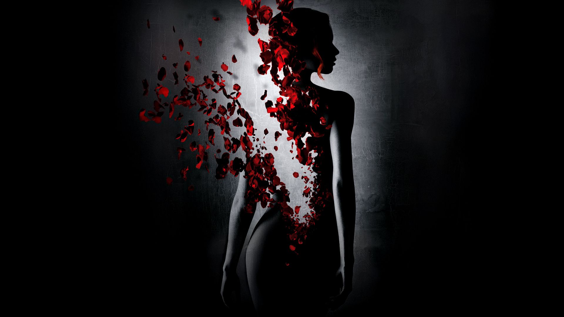 1920x1080 Phone wallpaper: Perfume: The Story Of A Murderer, Movie, Petal 1299136