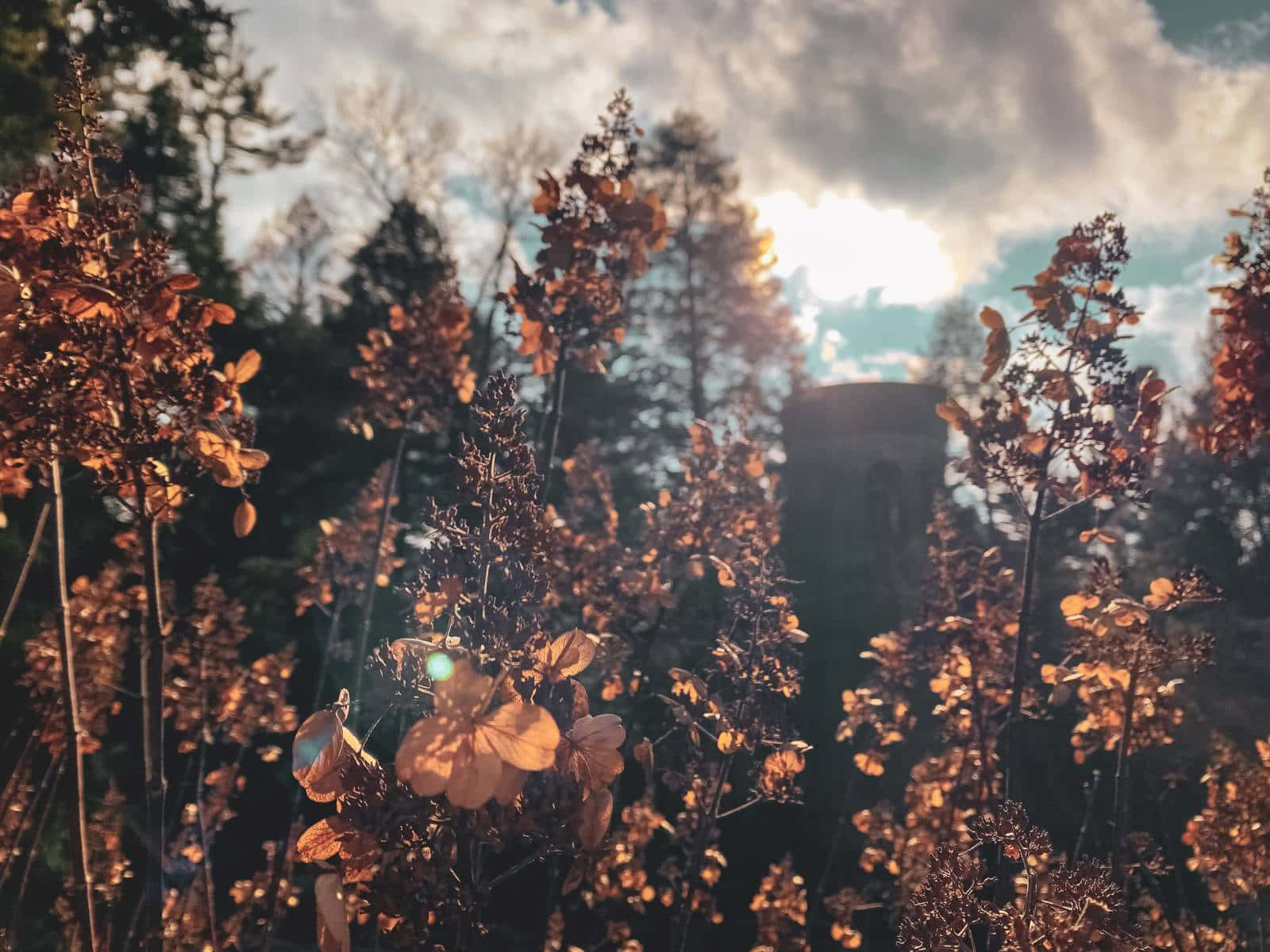 1600x1200 Download Cottagecore Aesthetic Tranquility Background