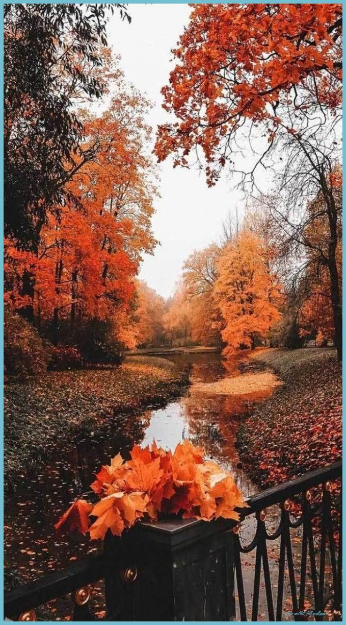 679x1224 Moody Autumn Cottagecore Wallpaper