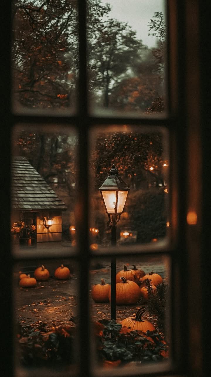 720x1285 Fall wallpaper iphone cozy forest. Fall cottagecore wallpaper, Fall cottage wallpaper iphone, Fall background iphone
