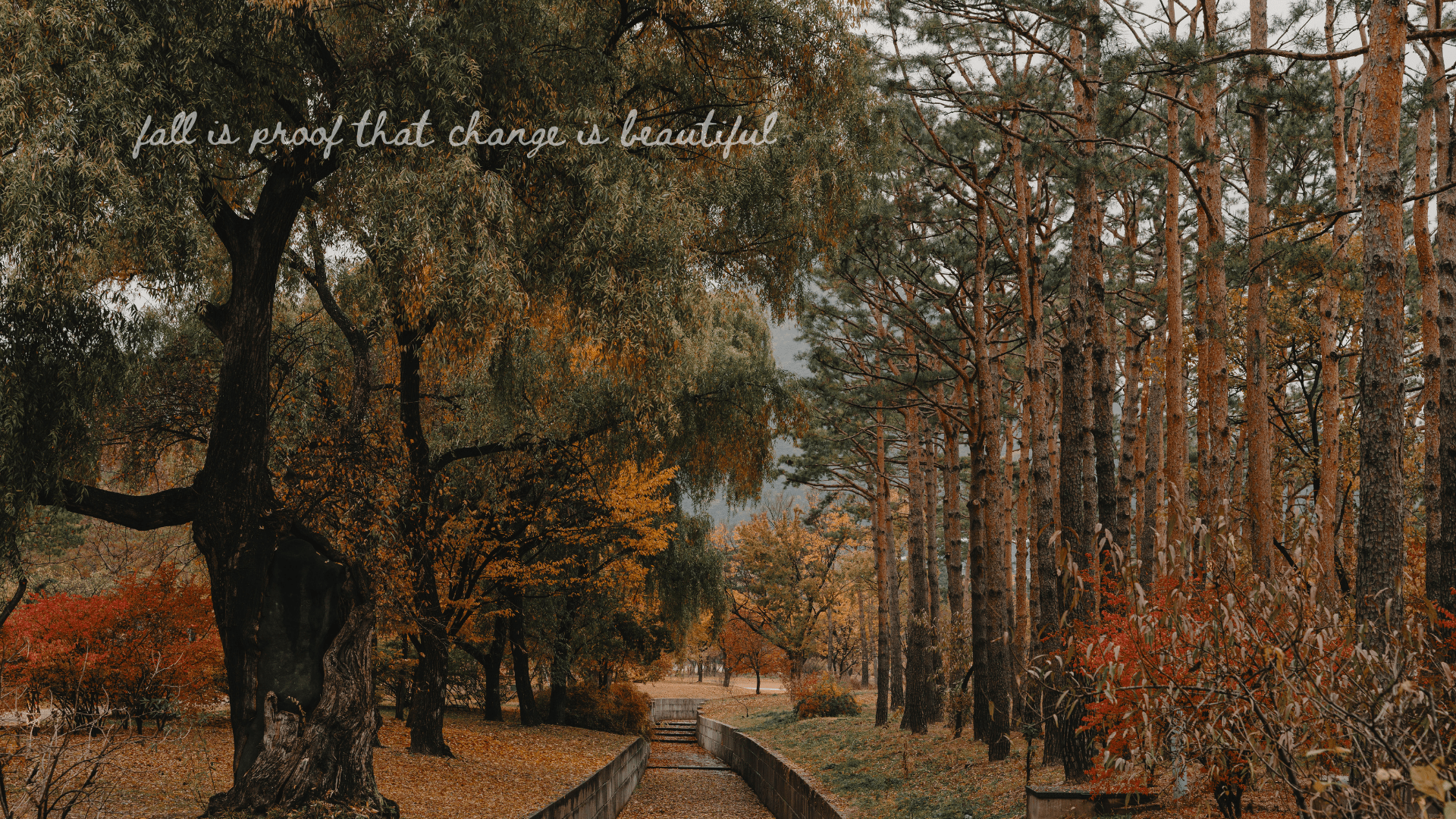 1920x1080 FREE Aesthetic Fall Wallpaper iPhone and Desktop