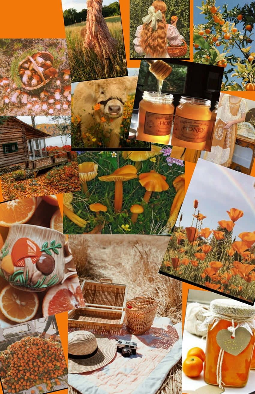 850x1314 Download Cottagecore Aesthetic Collage Wallpaper