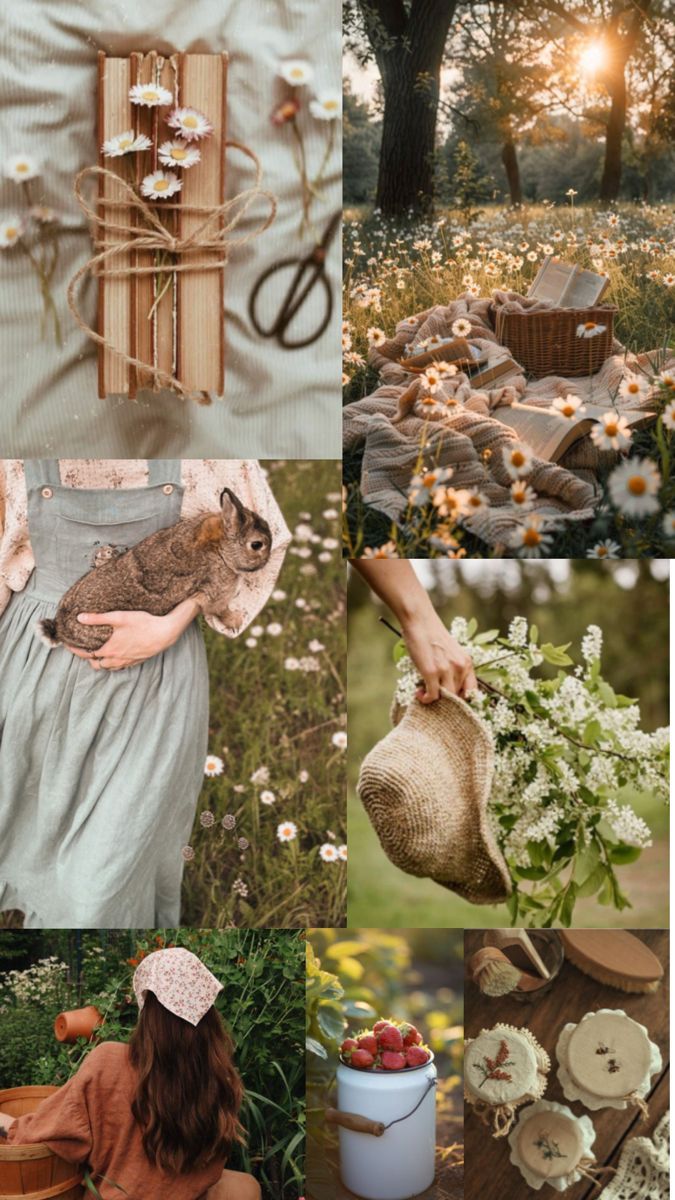 675x1200 Quiet life farm. Soft cottage core aesthetic, Cottagecore homestead aesthetic, Aesthetic spring