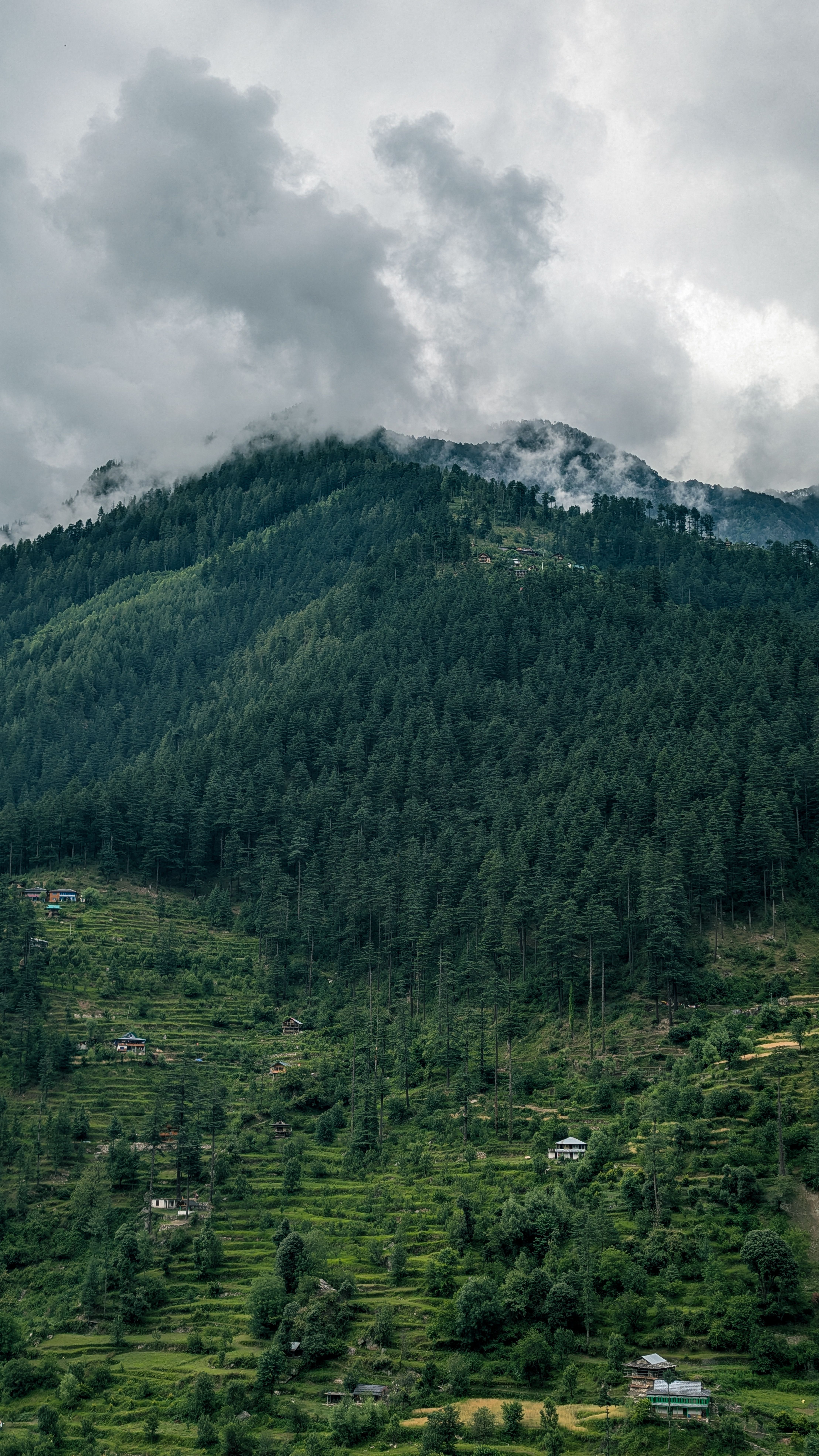 4433x7880 Himachal Photo, Download The BEST Free Himachal & HD Image