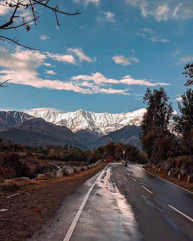 800x1000 Himachal, mountain, road, HD phone wallpaper