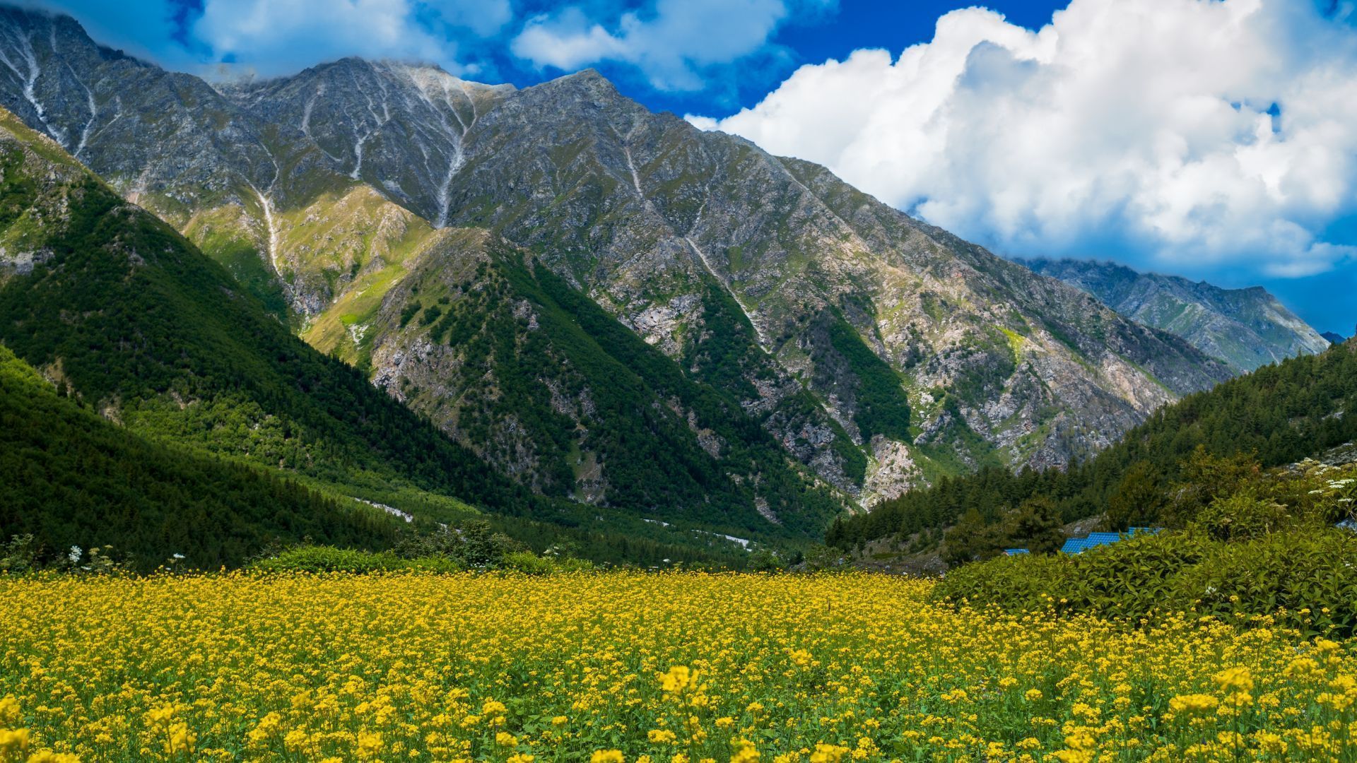 1920x1080 The Most Beautiful Places In Himachal Pradesh To Visit In 2024