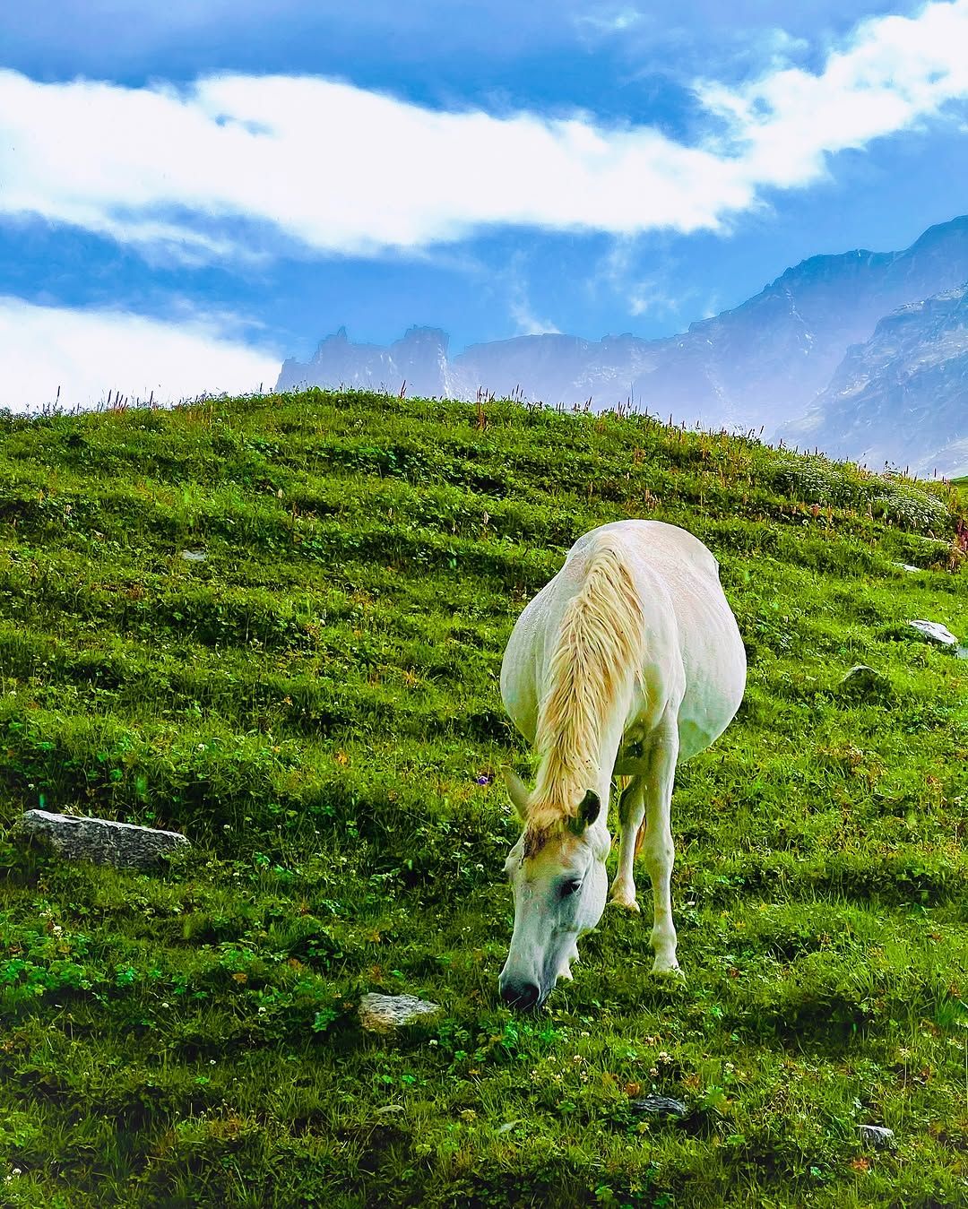 1080x1349 Beautiful Himachal Pradesh !!