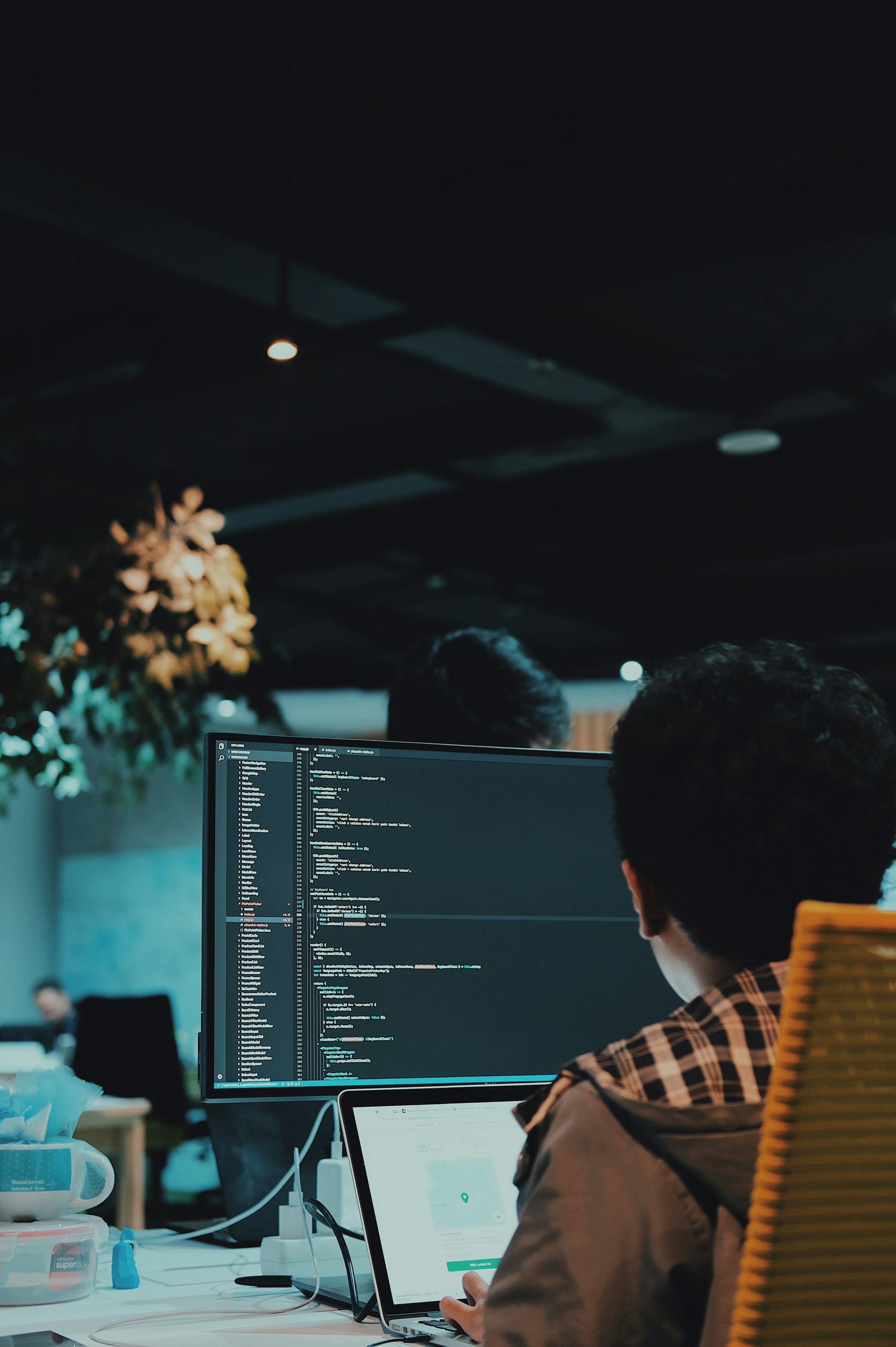 3000x4507 Person Coding Picture. Download Free Image