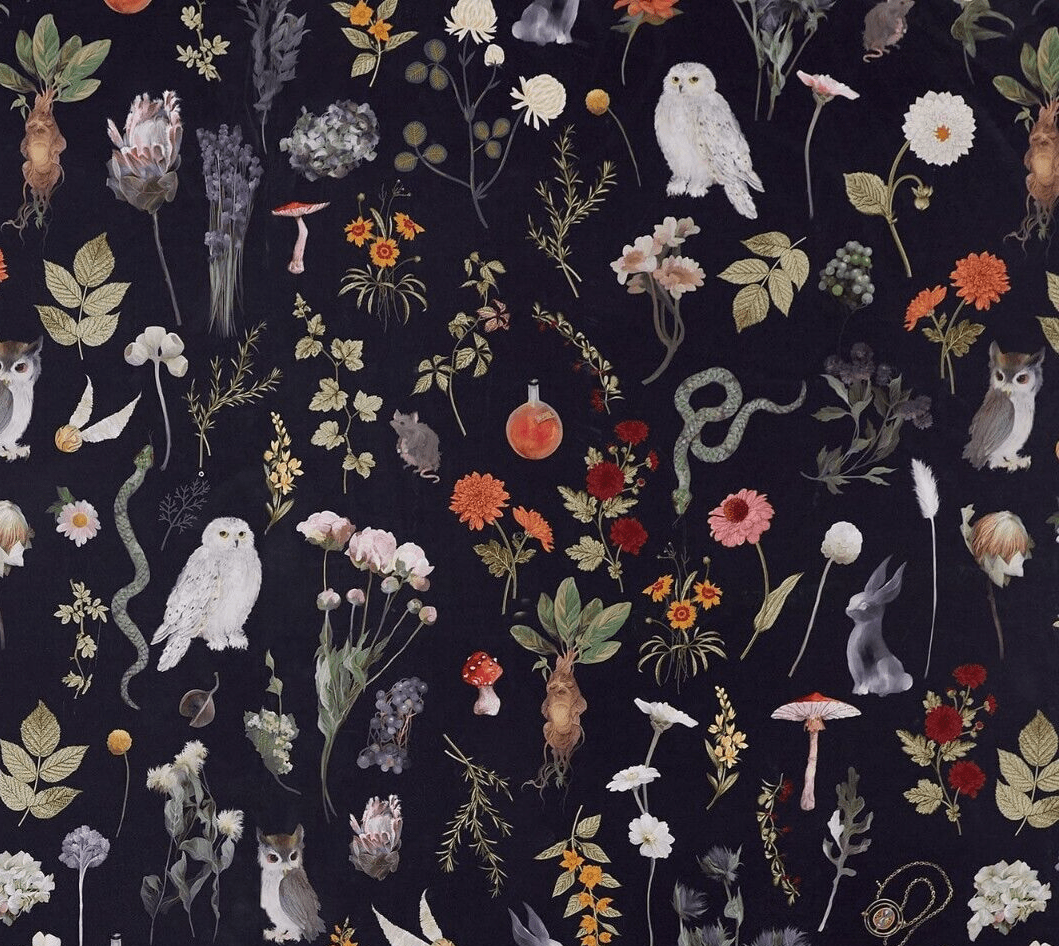 1059x946 Herbology Wallpaper
