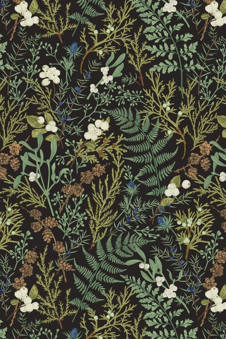 736x1104 Woodland aesthetic wallpaper. Botany wallpaper, Herbology wallpaper, Dark green wallpaper