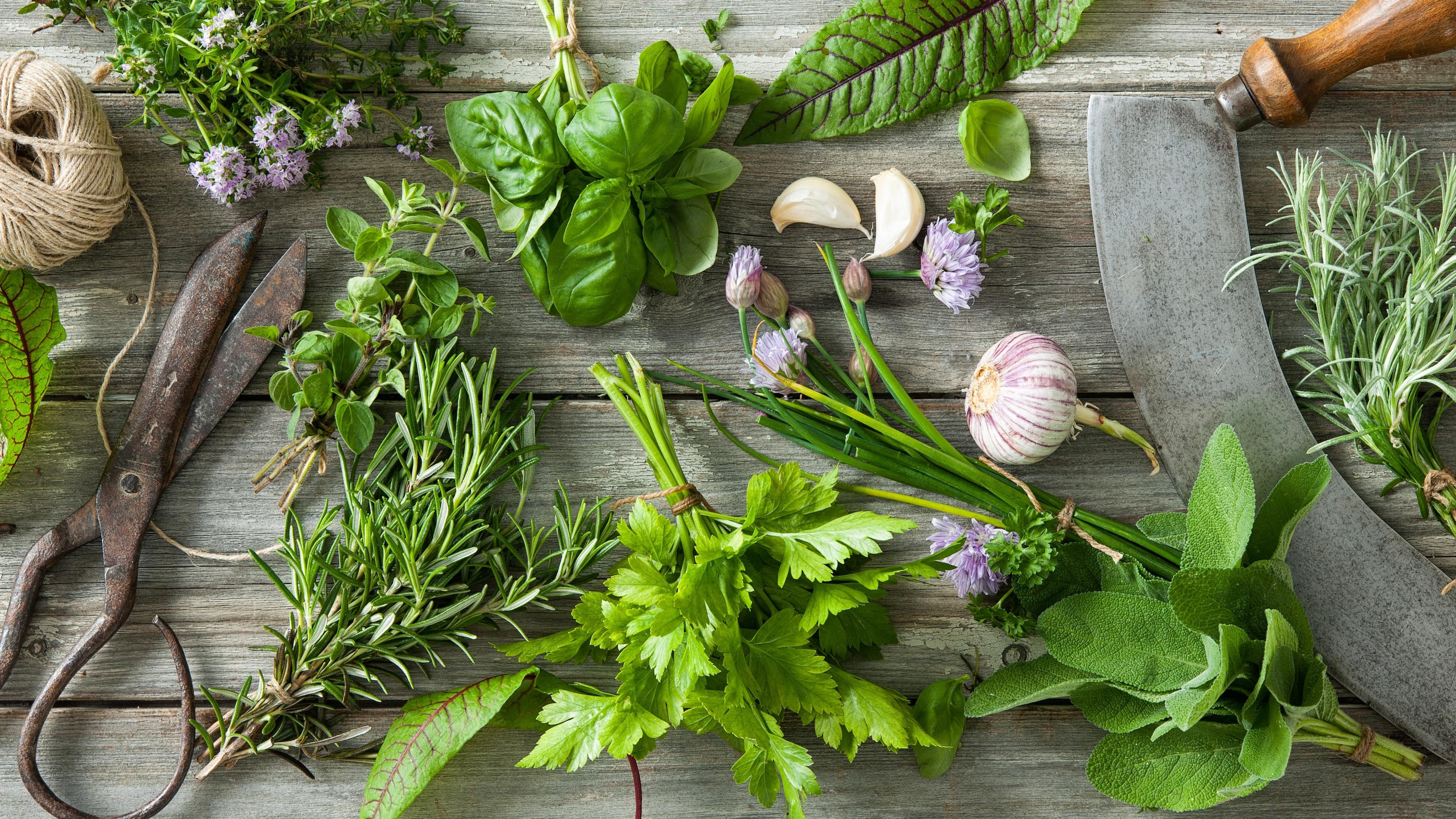 3840x2160 Herb Plants Wallpaper