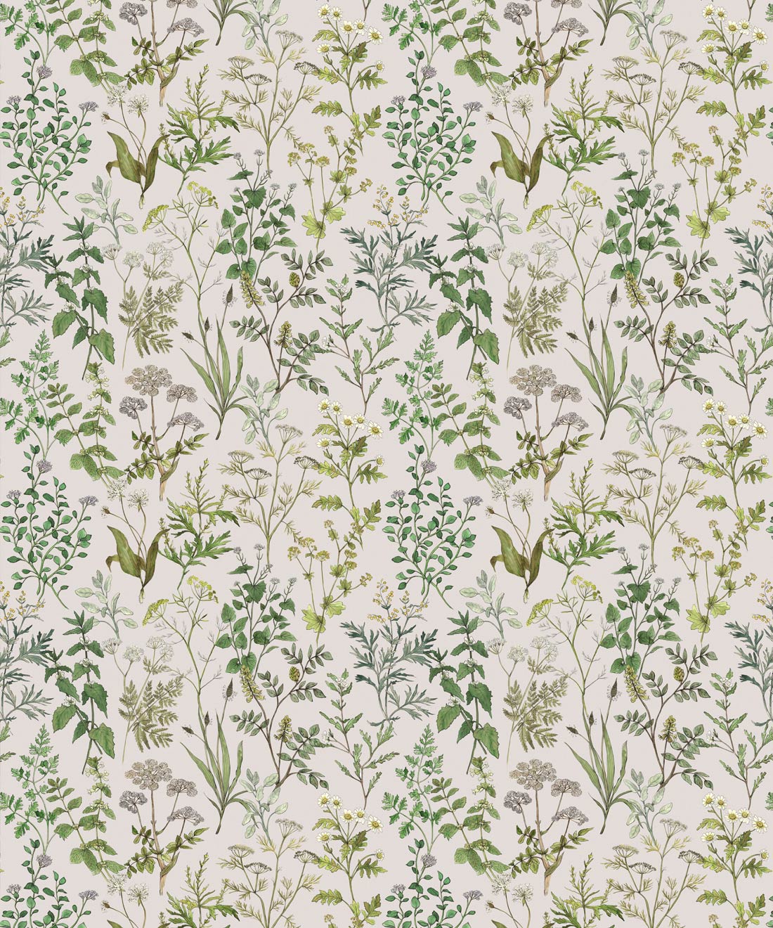 1100x1320 Garden Herbs Wallpaper • Herb Wallpaper AU